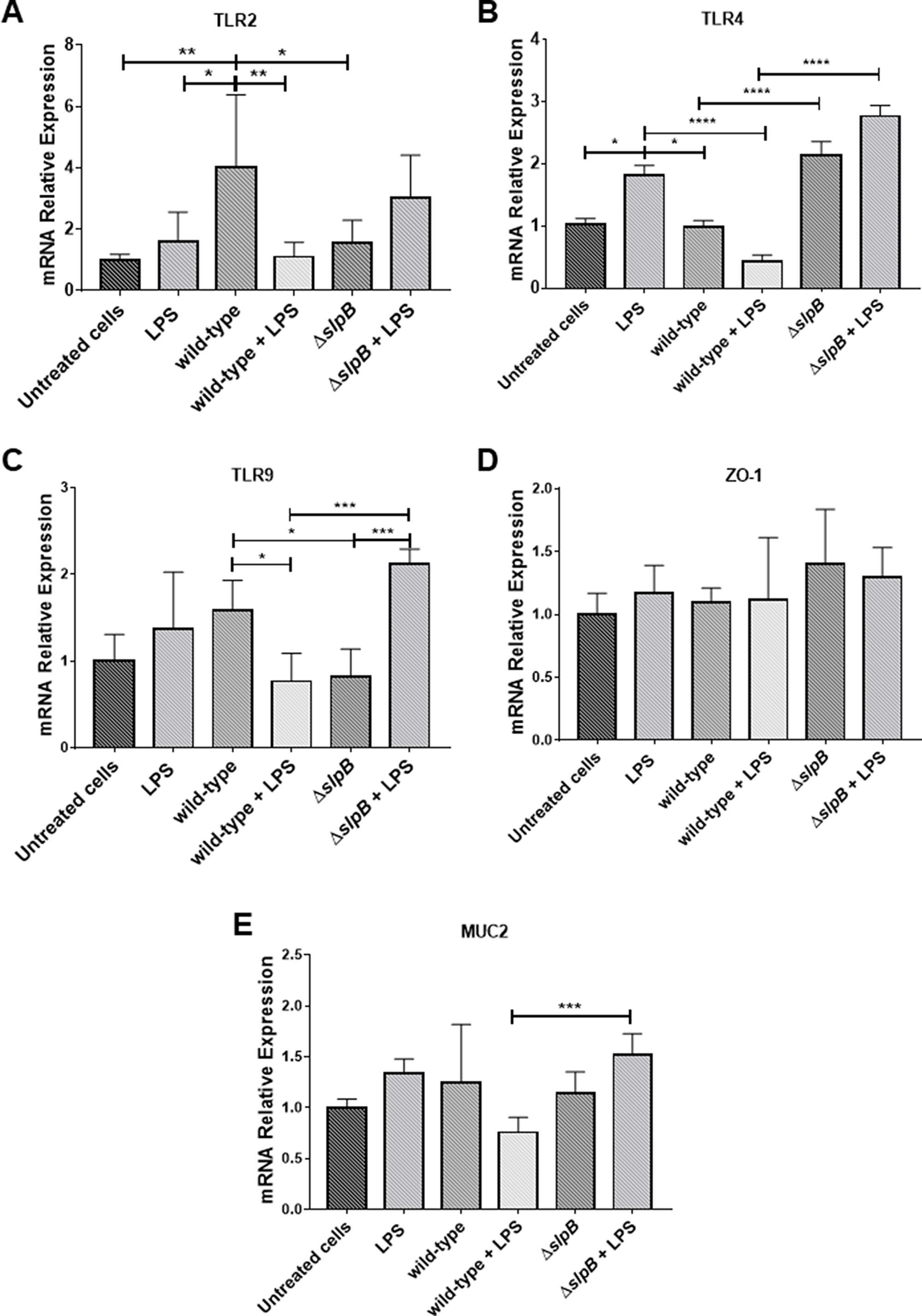 Propionibacterium freudenreichii WT strain modulates in vitro expression of in Toll-like receptors (TLRs) in HT-29 cells
