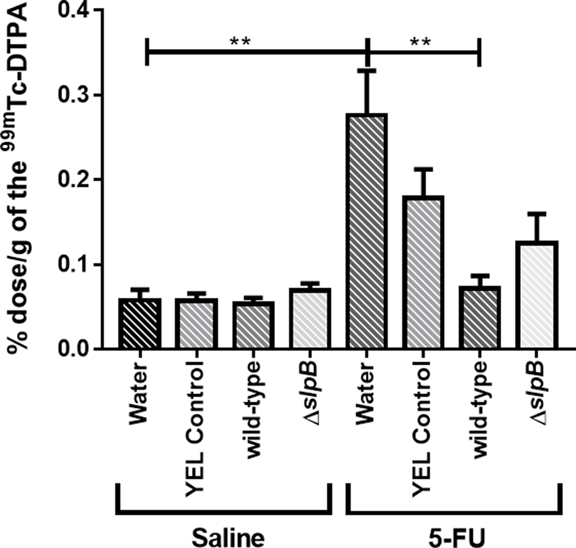 Propionibacterium freudenreichii WT consumption decreases intestinal permeability in 5-FU-treated mice