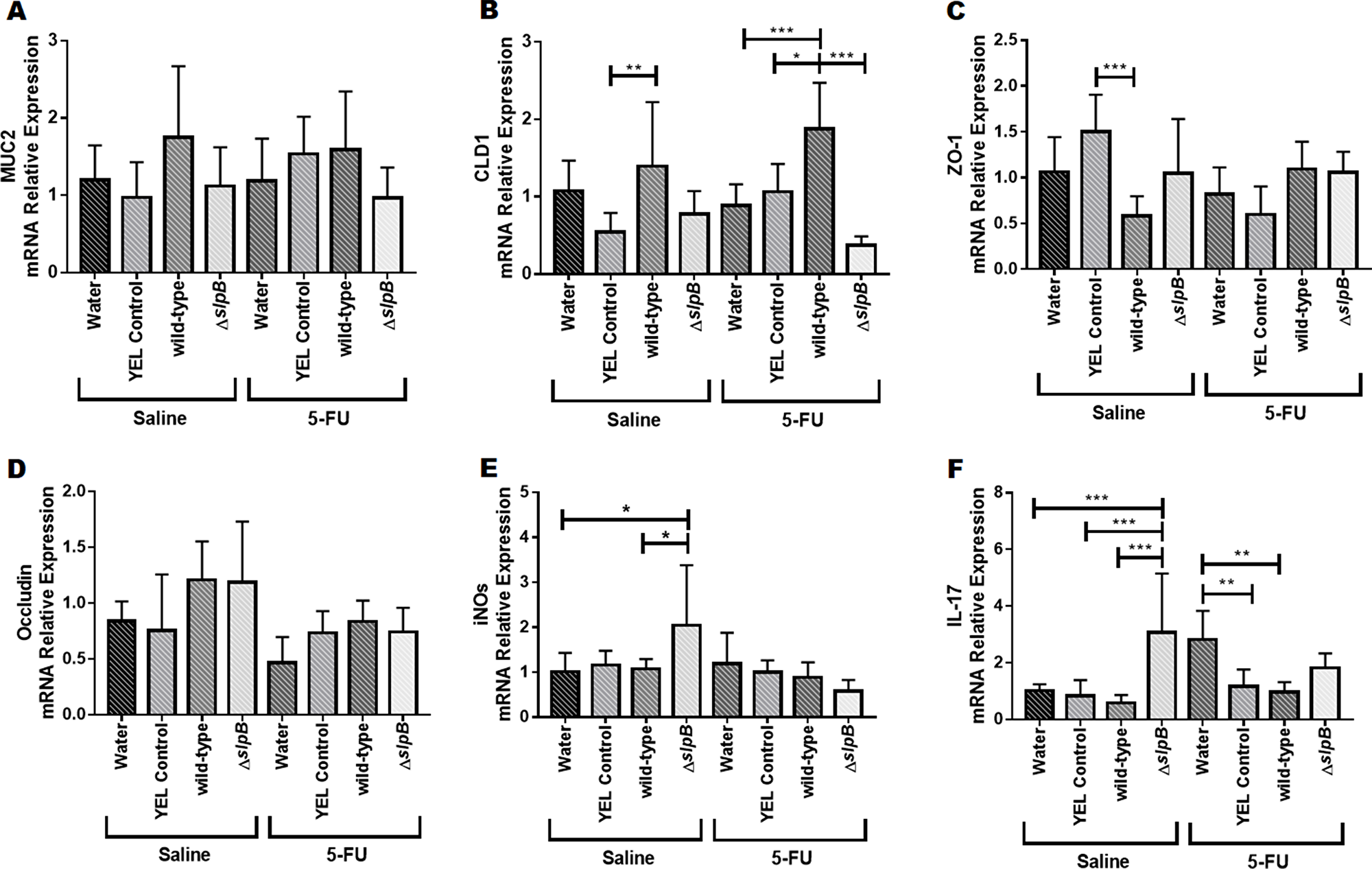 Propionibacterium freudenreichii ΔslpB induces expression of IL-17 and of inducible NOS (iNOS) in healthy mice