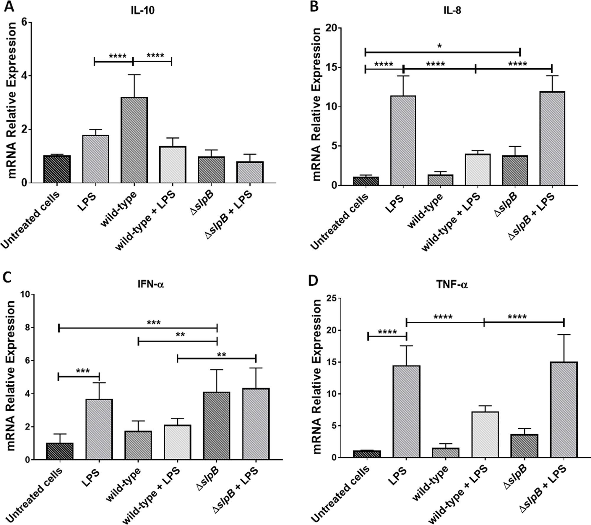 Propionibacterium freudenreichii ΔslpB mutant strain induces expression of pro-inflammatory cytokines in HT-29 cells
