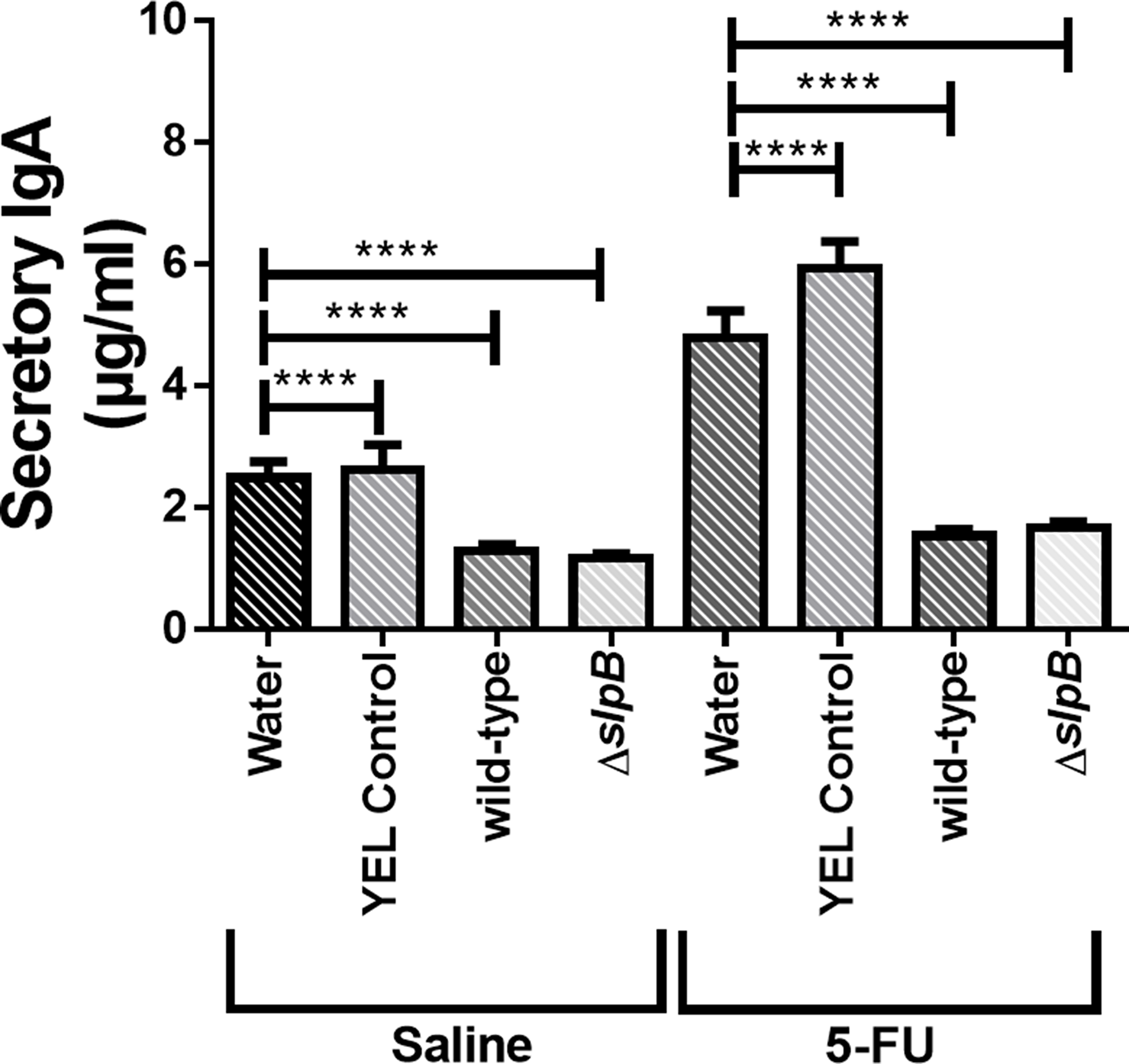Secretory immunoglobulin A (IgA) in intestinal small bowel content