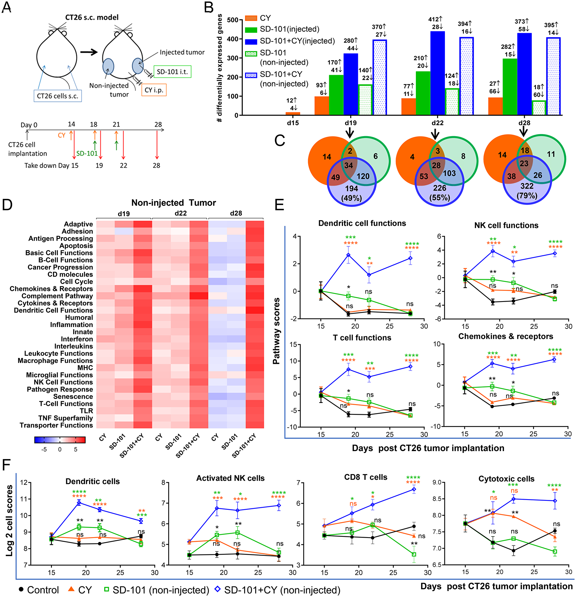 Gene expression changes to the TME demonstrate sequential development of innate and adaptive immune responses