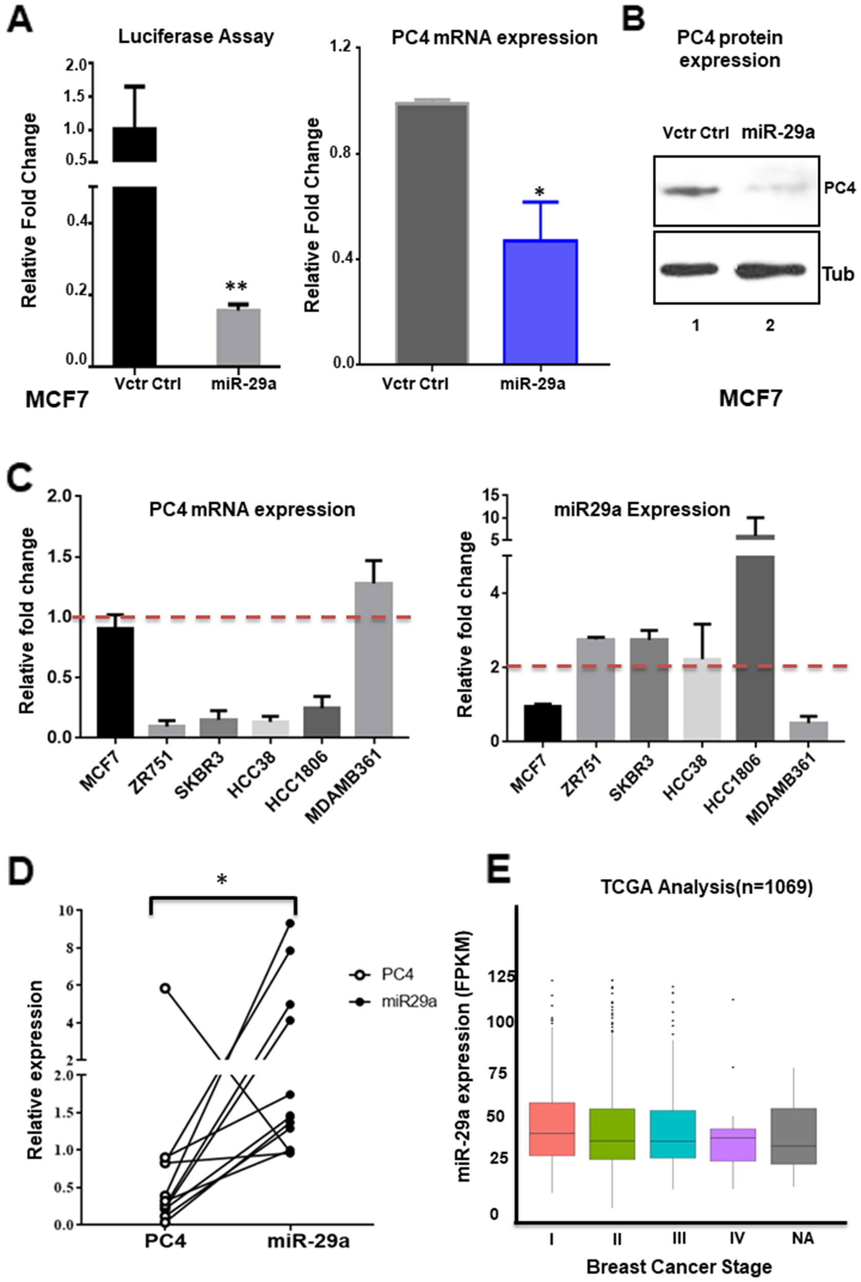 miR-29 modulates PC4 expression in Breast cancer cells