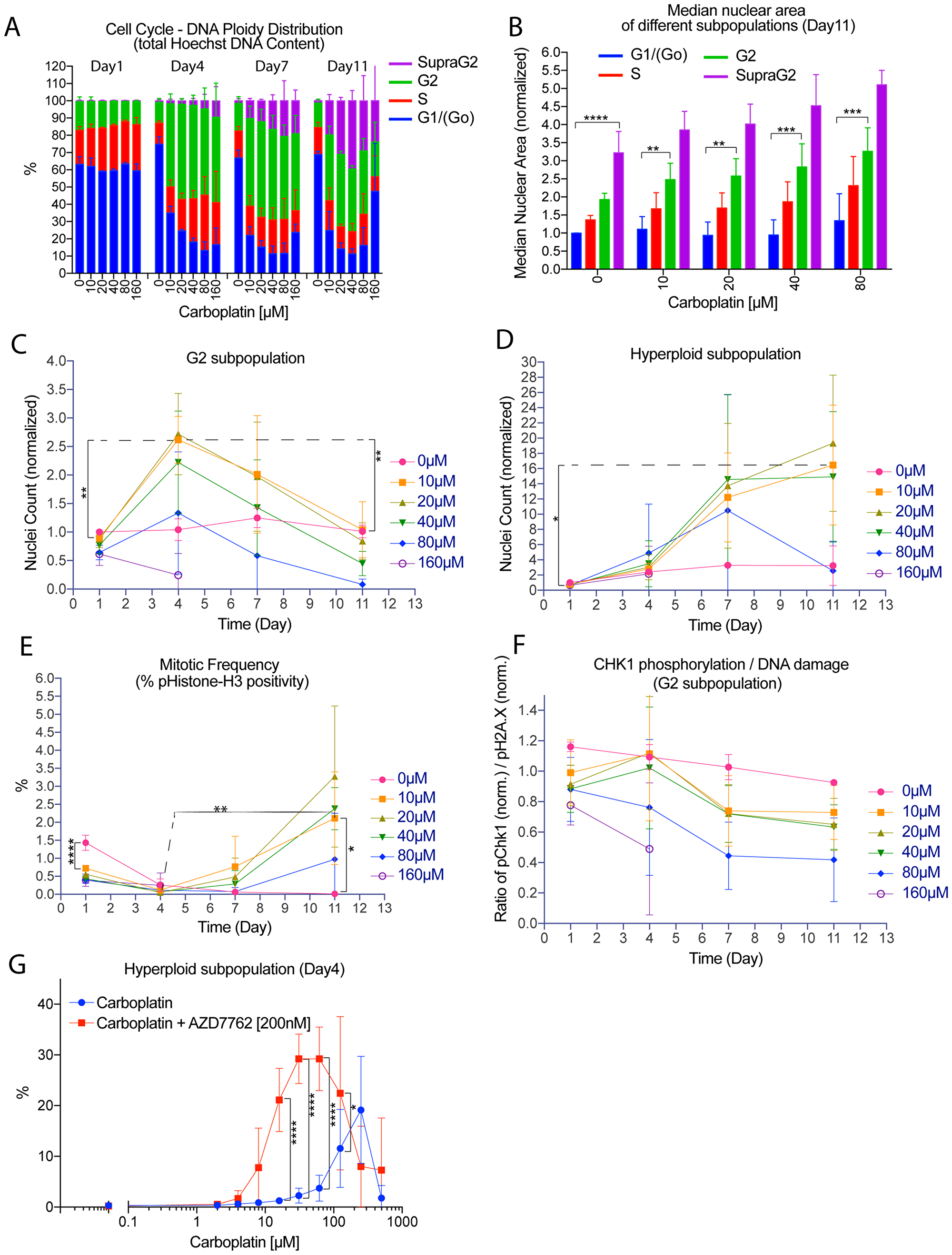 Nuclear area and DNA ploidy analysis revealed the de novo generation of a subpopulation of large hyperploid tumor cells due to G2-M checkpoint deregulation