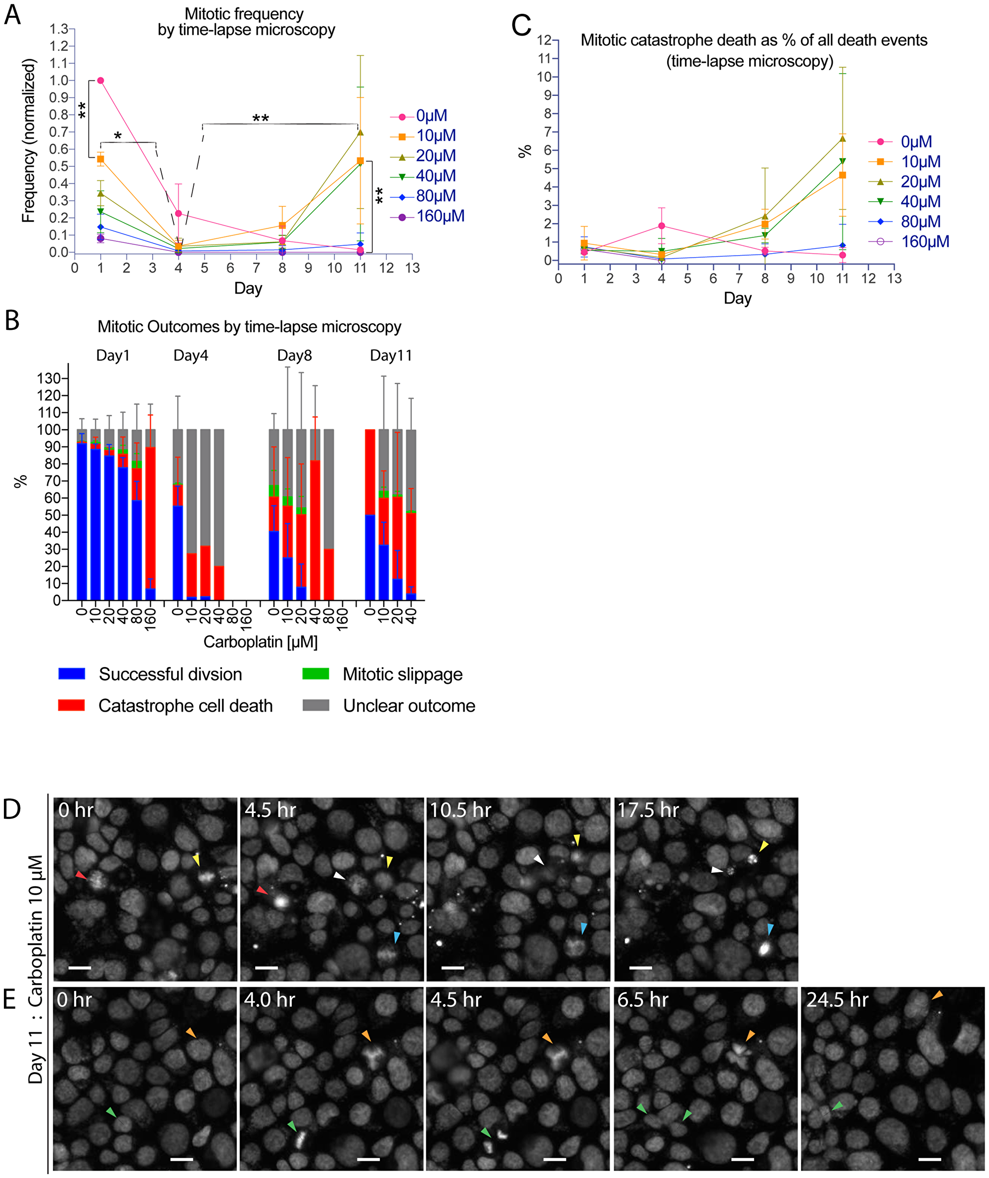 Time-lapse microscopy analysis revealed aberrant mitotic slippage events that may direct tumor cells toward a hyperploid state