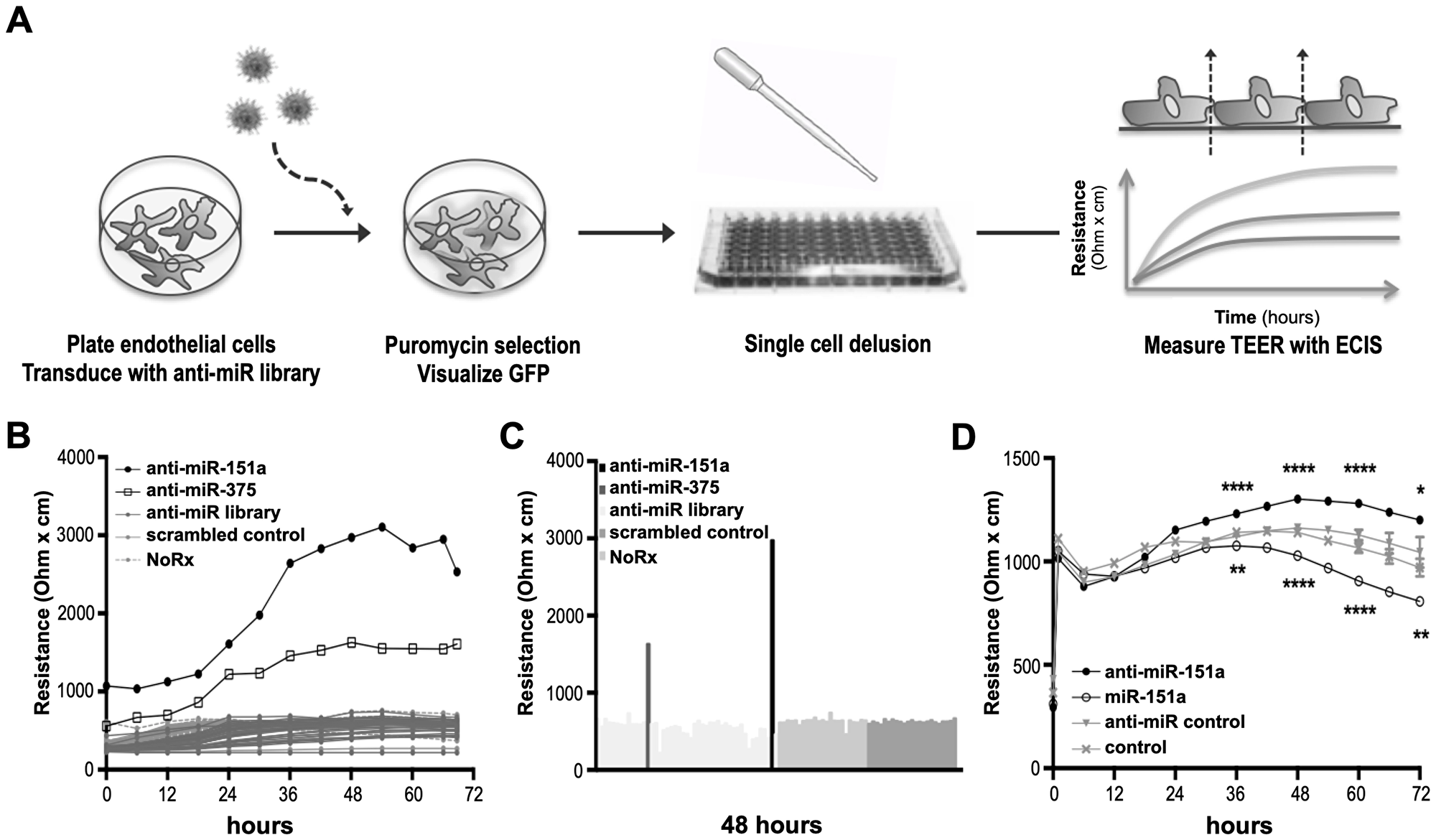 Identification of miRs regulating cell-cell contact