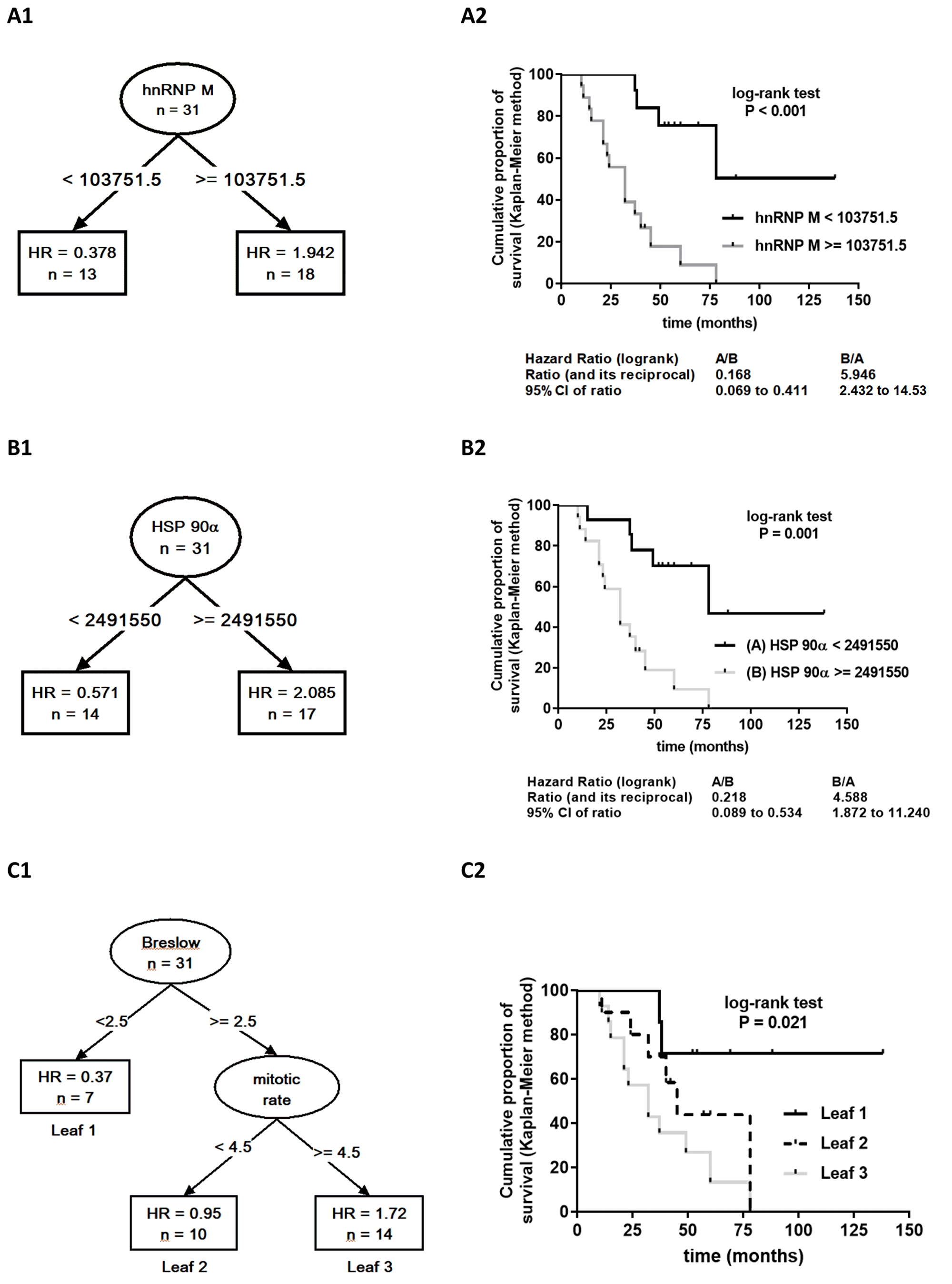 Results of the recursive partitioning survival data analysis presented as survival trees (A1, B, C1) with hazard ratios (HR) in the terminal nodes (leaves) [HR for the patients in the respective subset (leaf), relative to the entire cohort (starting node, n = 31, HR = 1.0). If leaf HR $!--ESC