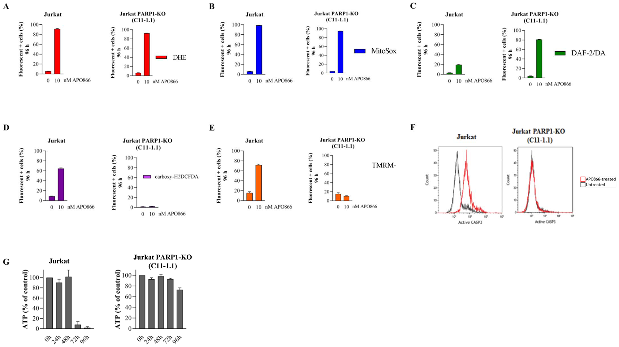 Deletion of PARP1 fully inhibits H2O2 production, mitochondrial depolarization, caspase activation, and loss of ATP cell content in APO866-treated Jurkat cells
