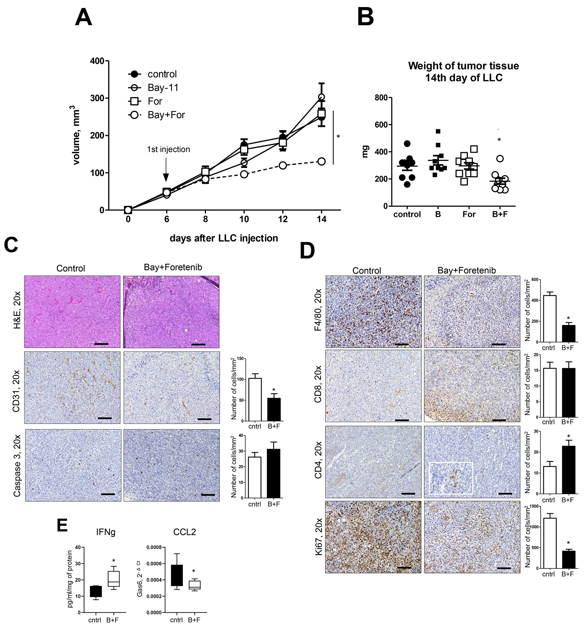Treatment of mice with combination of NF-κB inhibitor and MerTK antagonist blocks lung cancer growth