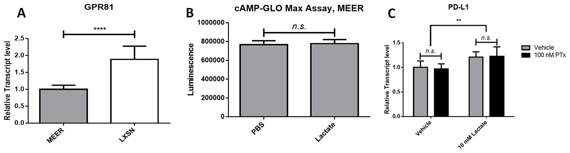 Lactate-induced PD-L1 in MEER cells does not depend on GPR81 signaling
