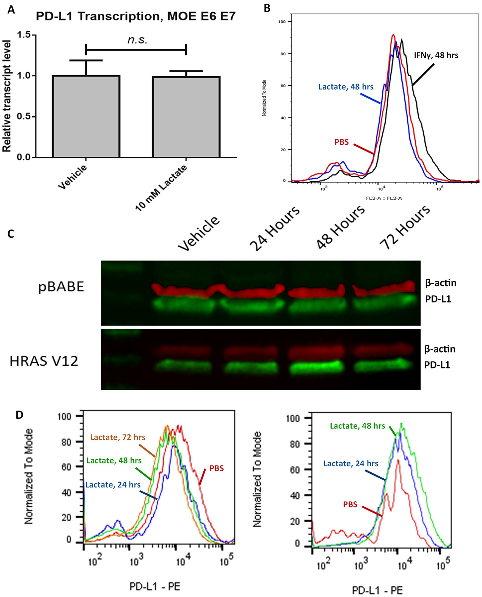 Lactate-induced expression of PD-L1 relies on HRASG12V expression