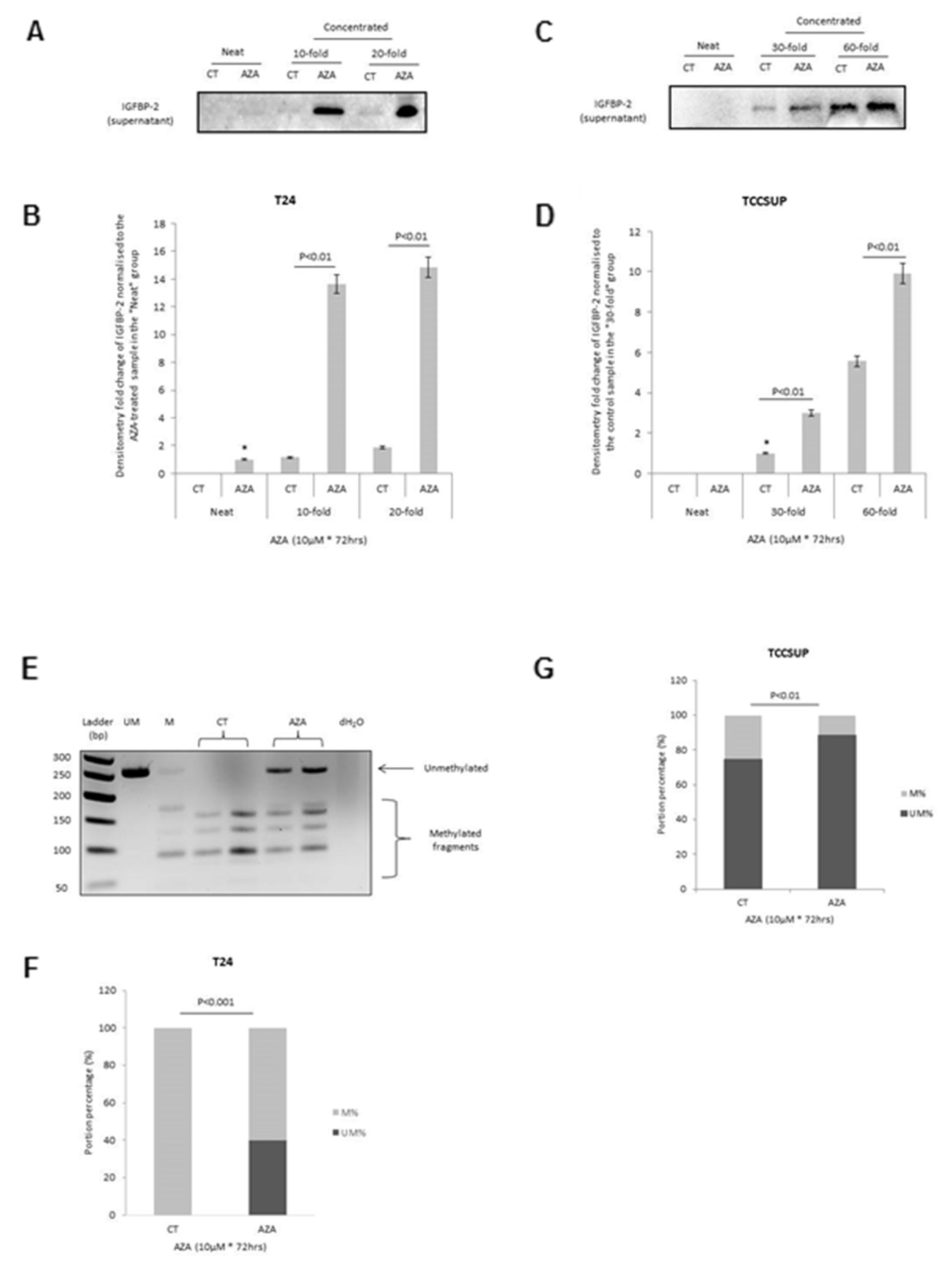 Effect of 5-AZA on the abundance and methylation status of the IGFBP-2 gene promoter