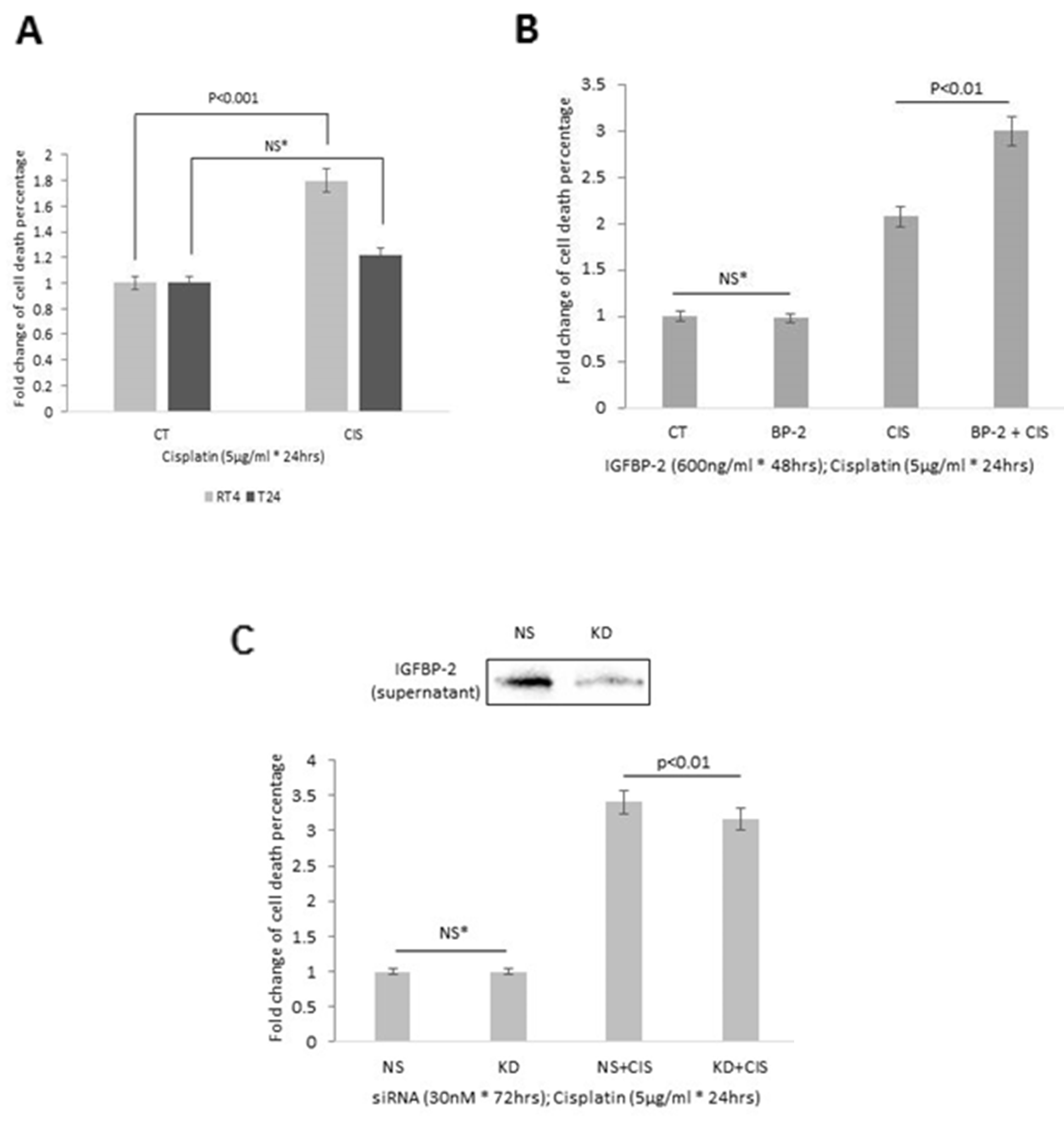 Effects of cisplatin on cell death in (A) RT4 and T24 cells and (B) in T24 cells following the addition of IGFBP-2 (600ng/ml) and (C) in RT4 cells with IGFBP-2 silenced. Insert shows a blot to indicate effective knockdown of IGFBP-2. Graphs show the mean and SEM of data from 3 separate experiments each performed in triplicate. Data were analysed with SPSS 12.0.1 for Windows using one-way ANOVA followed by least significant difference (LSD) post-hoc test. A statistically significant difference was present at p$!--ESC
