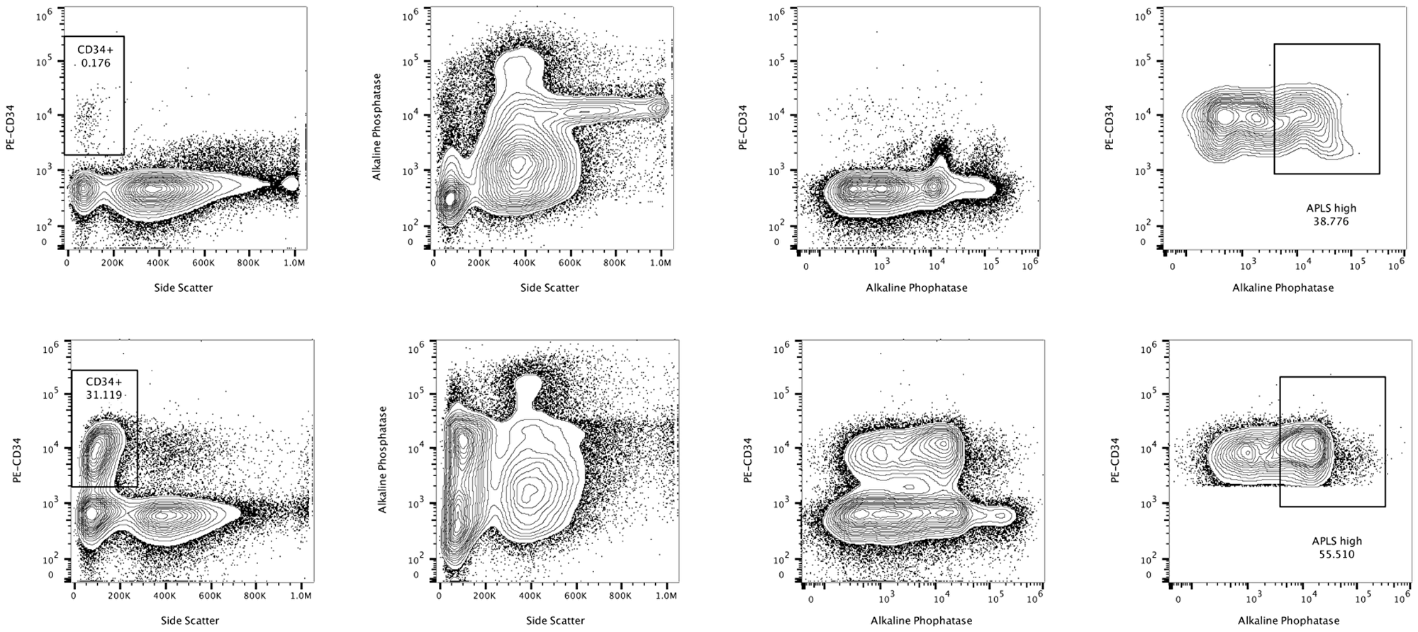Representative flow cytometric study of the alkaline phosphatase activity in a patient of the ALP ≥ 12% group