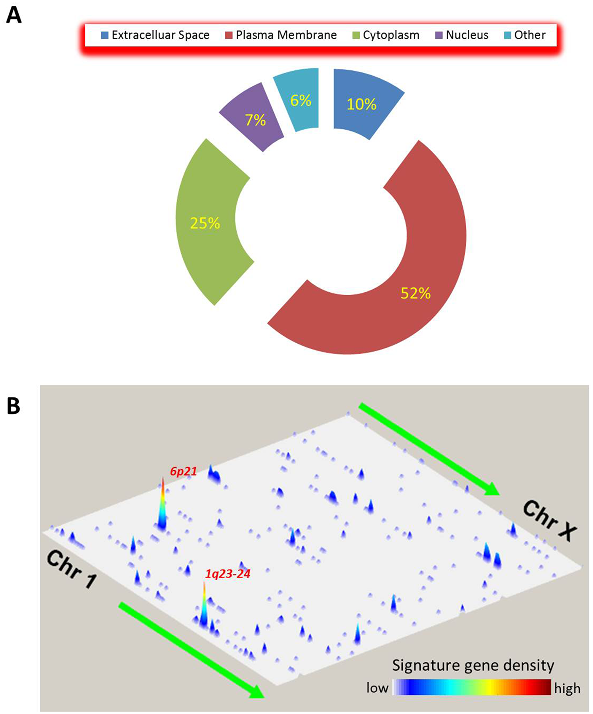 Spatial characteristics of the global immune gene signature