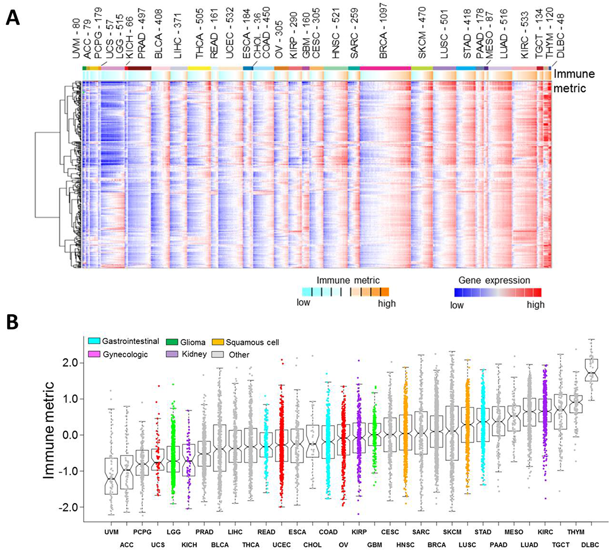 Immune response in human cancers
