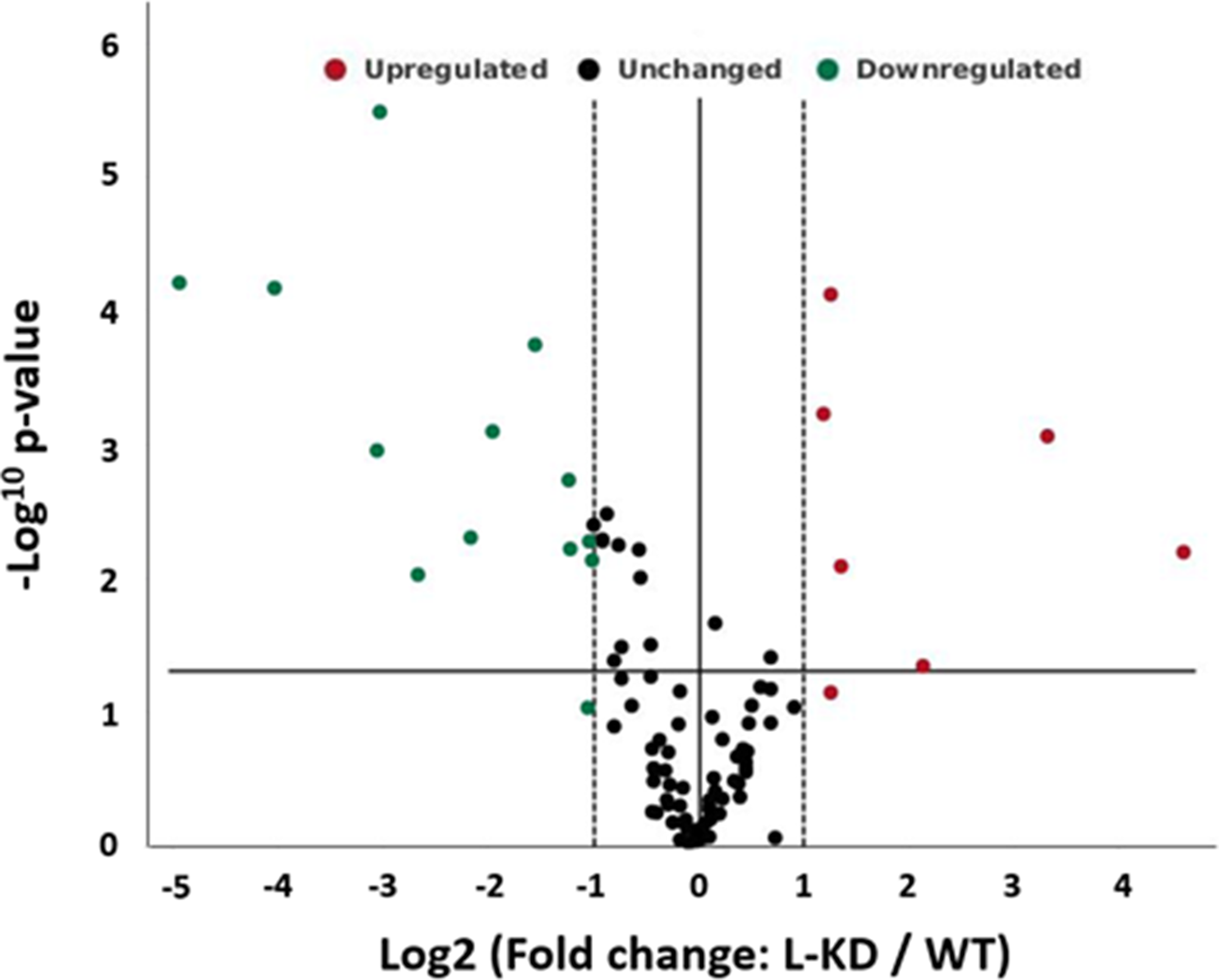 Knockdown of ADK-L affected gene expression of MDA-MB-231 cancer cells