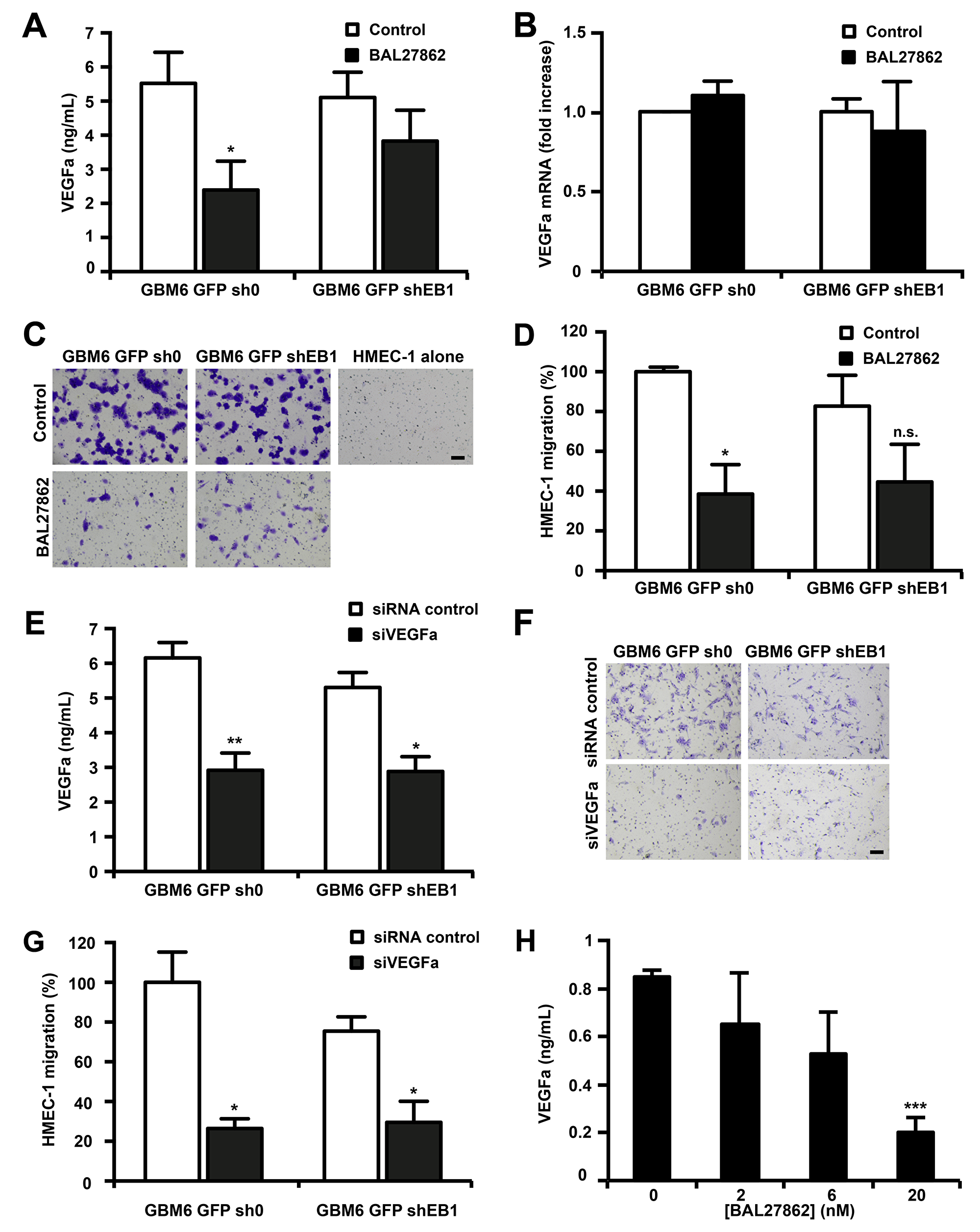 BAL27862 inhibits VEGF secretion by GBM6 cells and GBM6-induced migration of endothelial cells