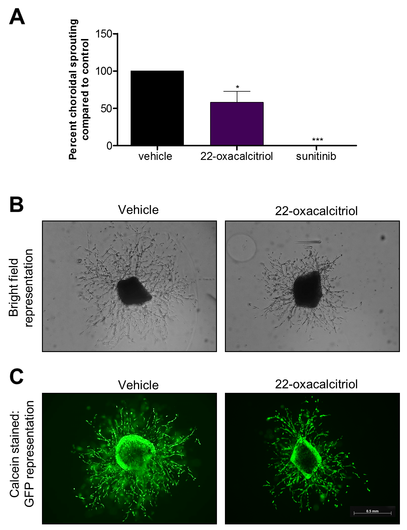 Vitamin D3 analogue attenuates mouse choroidal sprouting angiogenesis