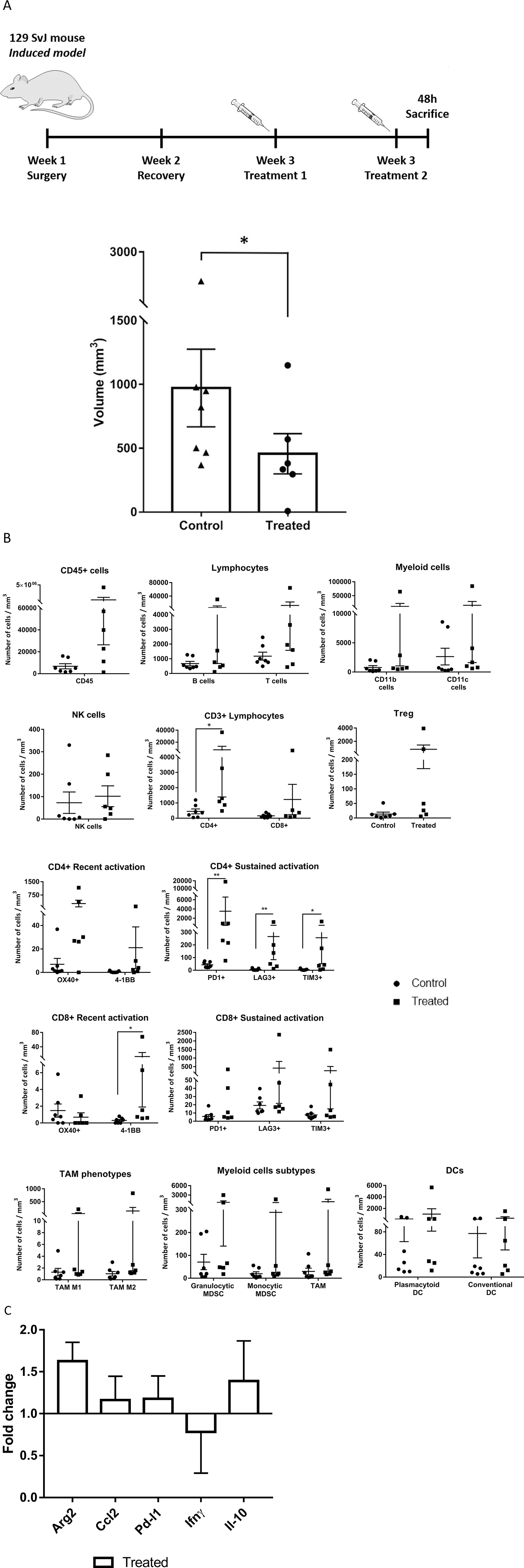 Effects of systemically administered mCelyvir in tumors in an induced model of NB