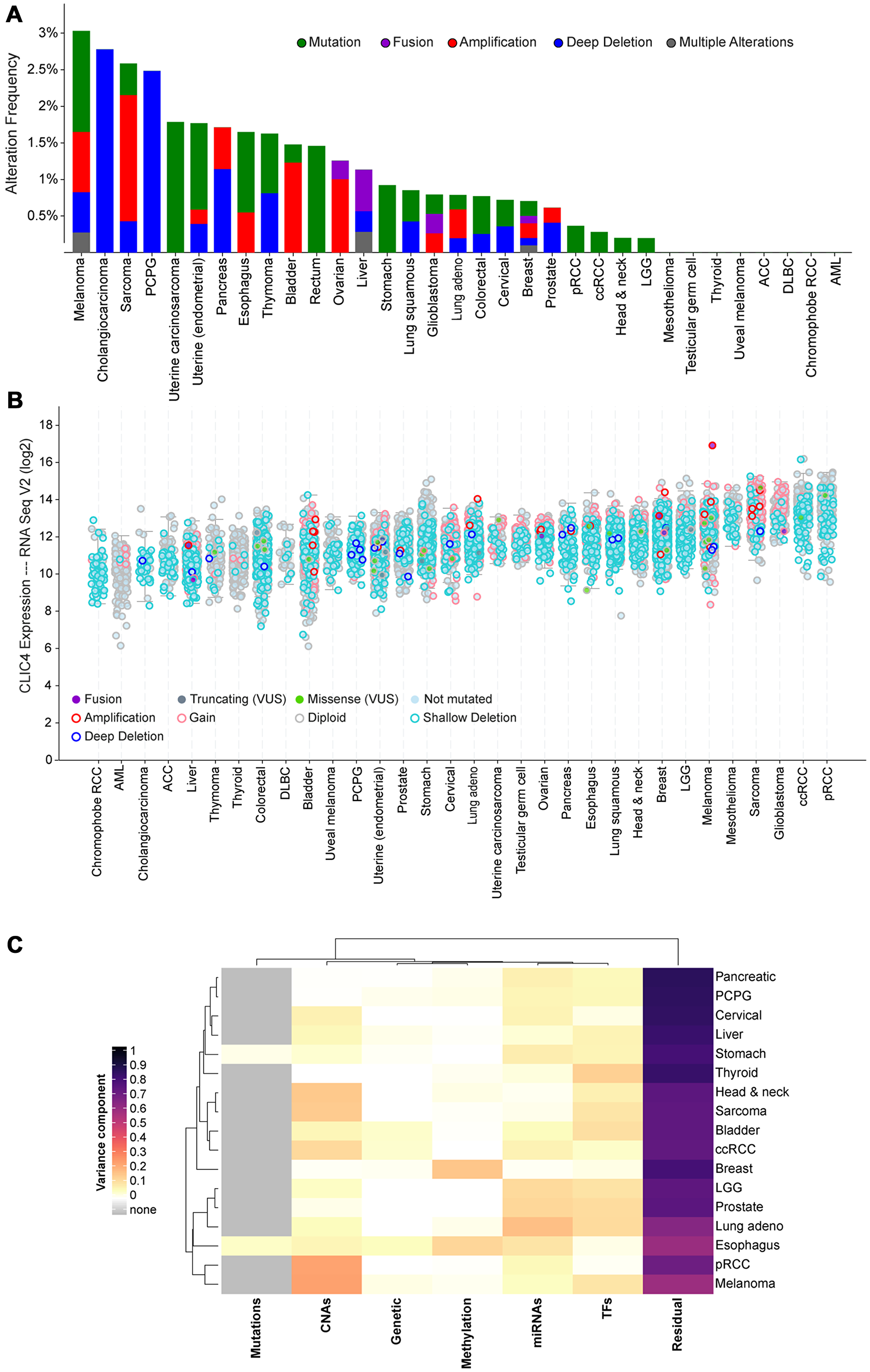 Screening for putative drivers of CLIC4 expression variation in human cancers