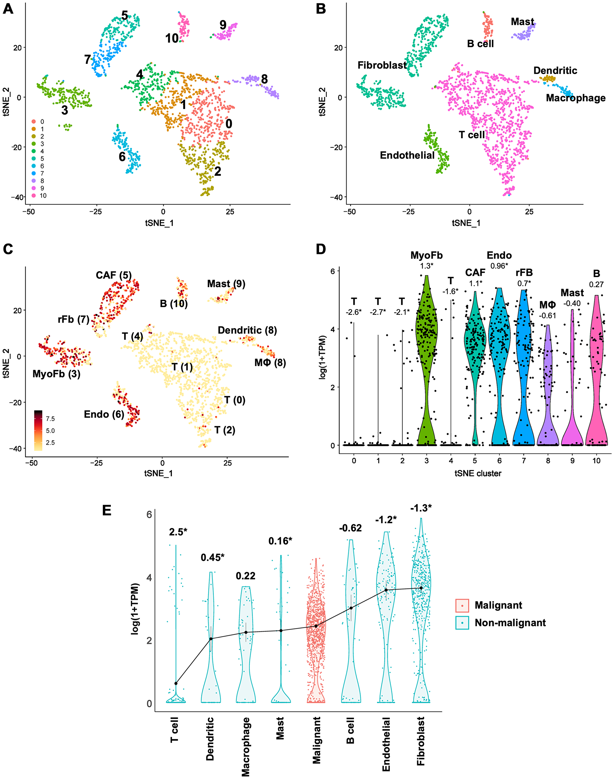 Single-cell RNA-seq data reveal lower CLIC4 expression in malignant tumor cells than in stromal fibroblasts in HNSCC
