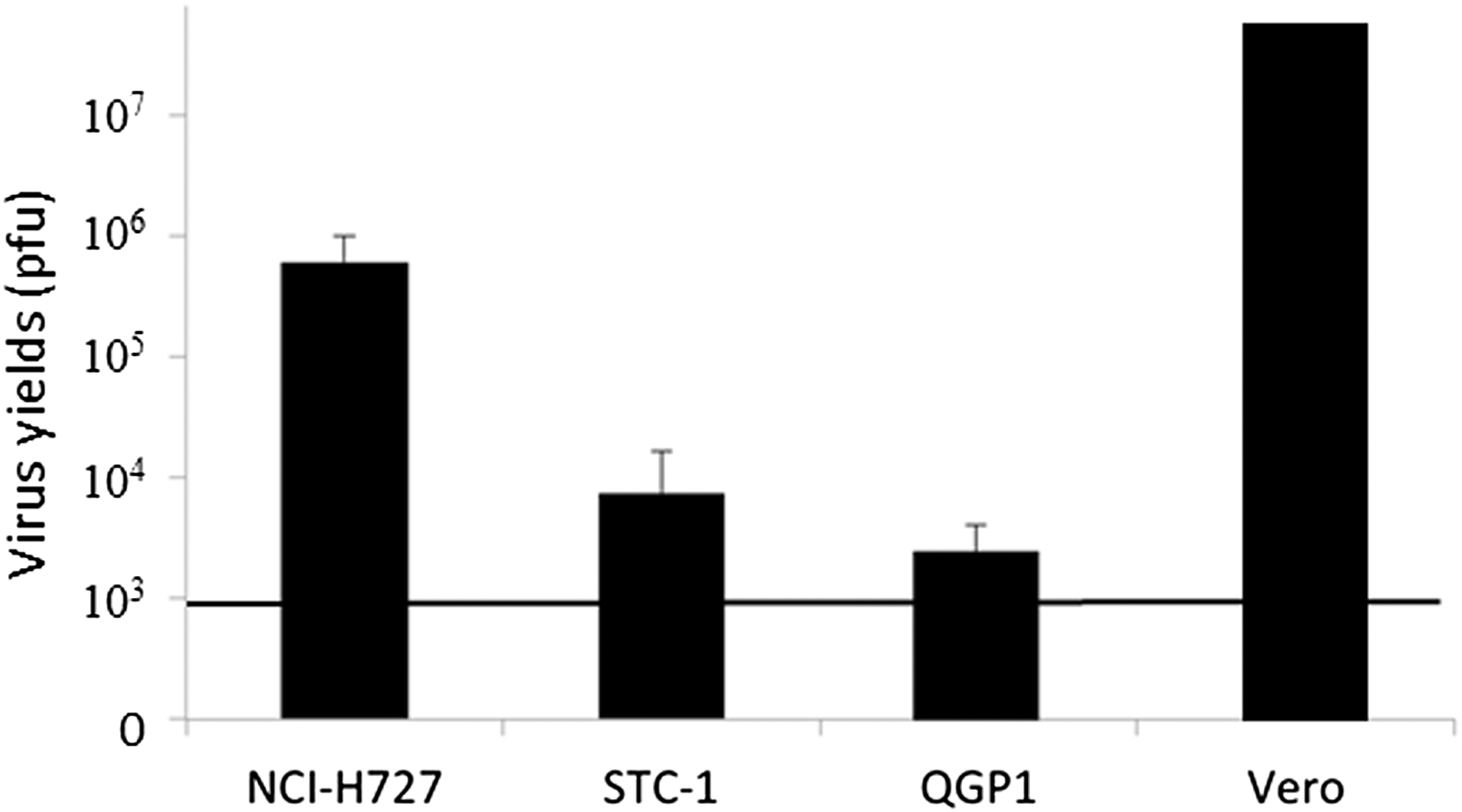 Virus replication of T-01 in vitro