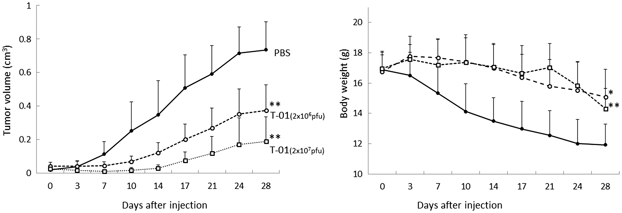 Antitumor effect of T-01 in a dose-dependent manner in mice with subcutaneous tumors