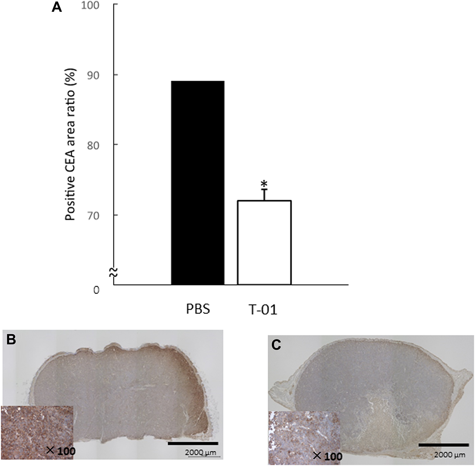 Quantitative analysis of intratumoral CEA in mice with subcutaneous tumors
