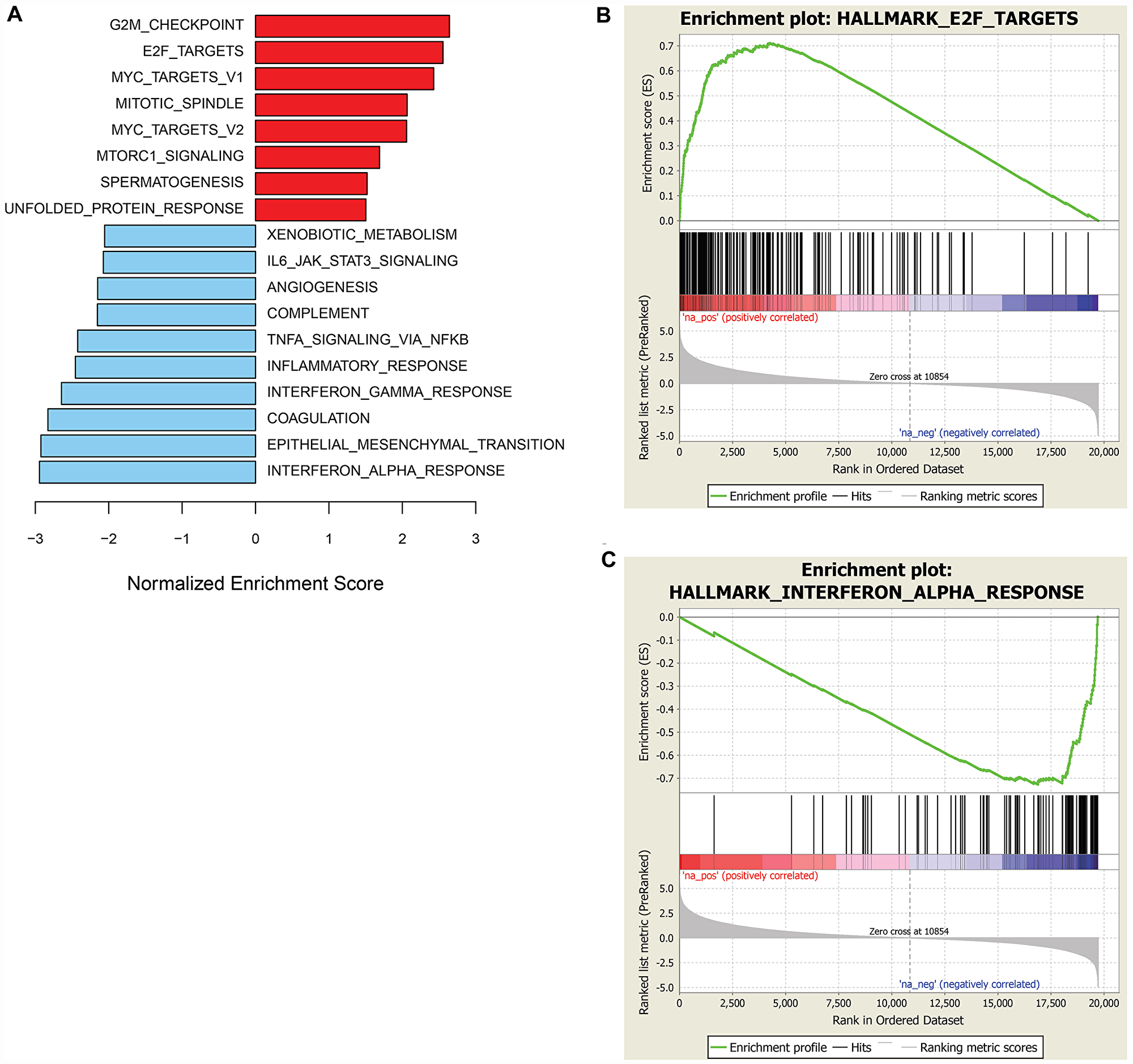 GSEA of genes associated with sensitivity or resistance to prexasertib in the sarcoma and neuroblastoma xenograft cohort