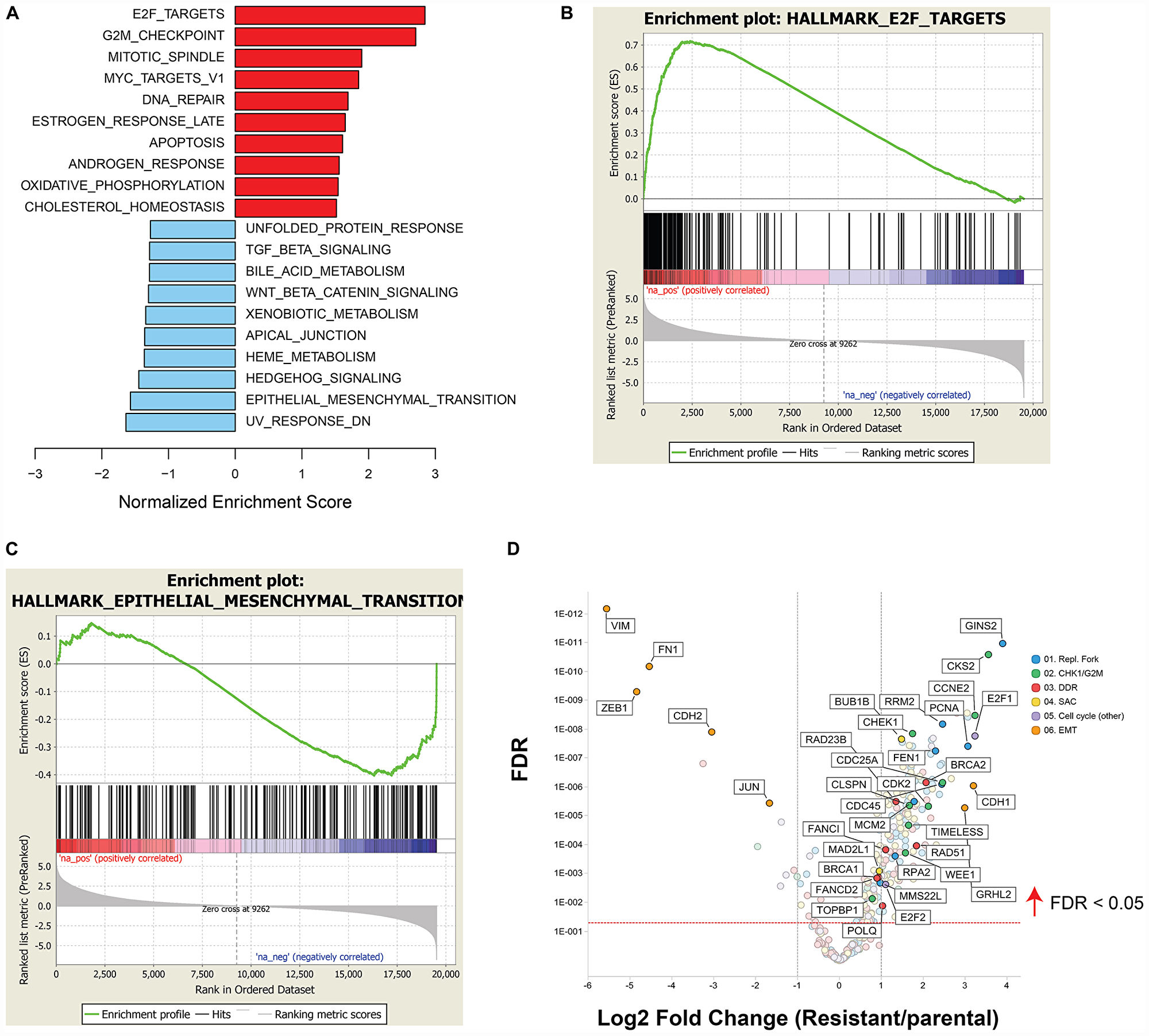 GSEA of differentially expressed genes between NCI-H520 and NCI-H520R cell lines