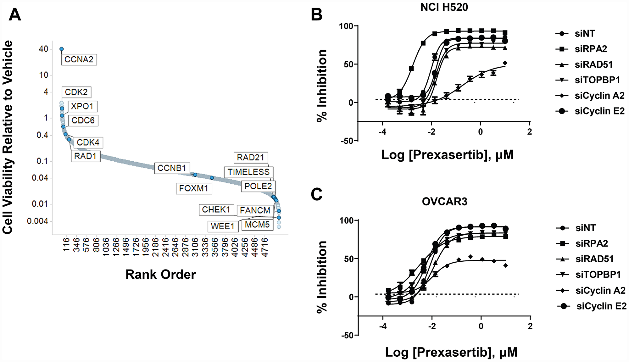 shRNA modifier screen applied to the NCI-H520 cell line identified genes that induced a sensitizing or de-sensitizing effect upon knockdown