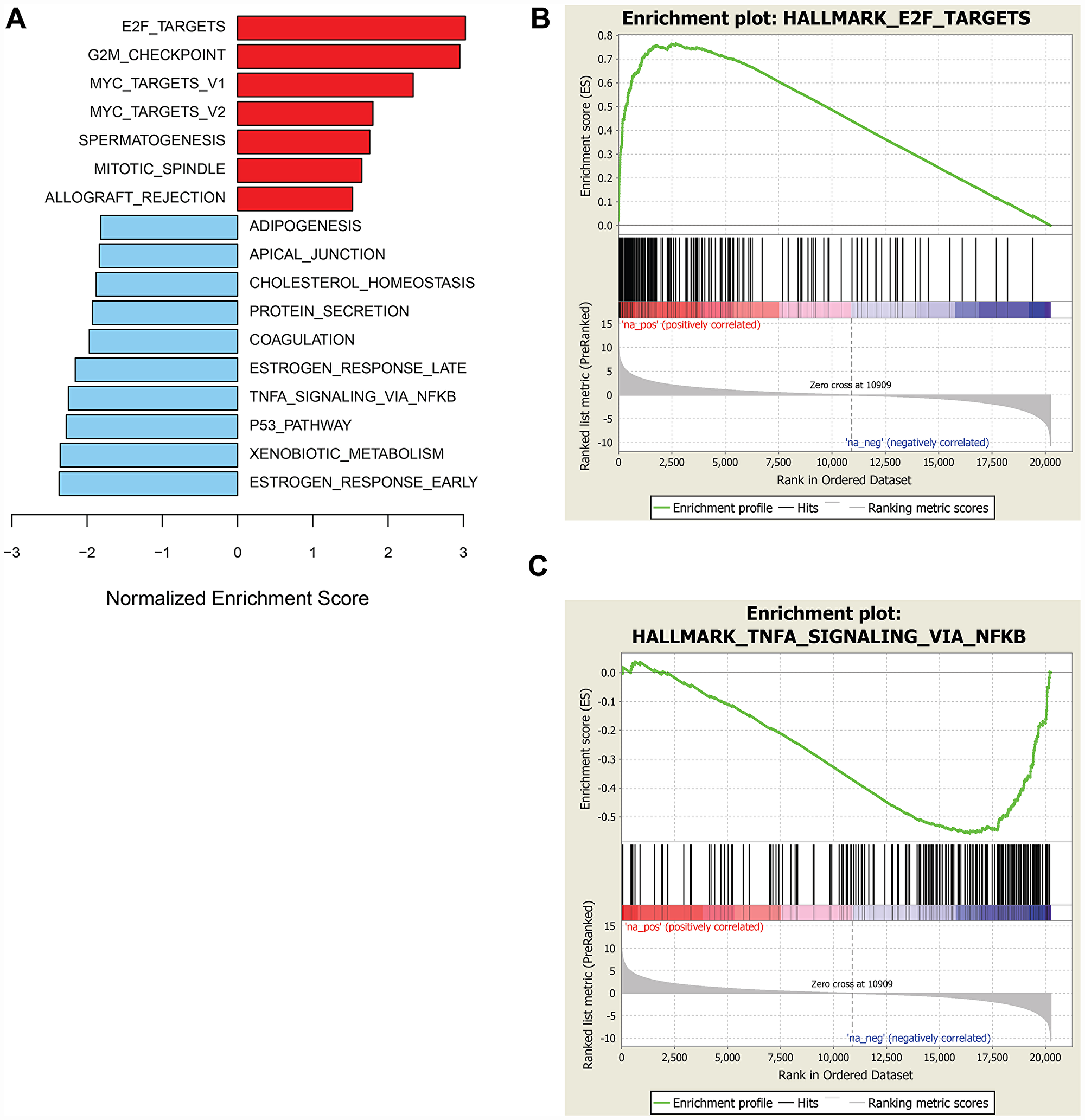 GSEA of genes associated with sensitivity or resistance to prexasertib in pan-cancer cell line panel