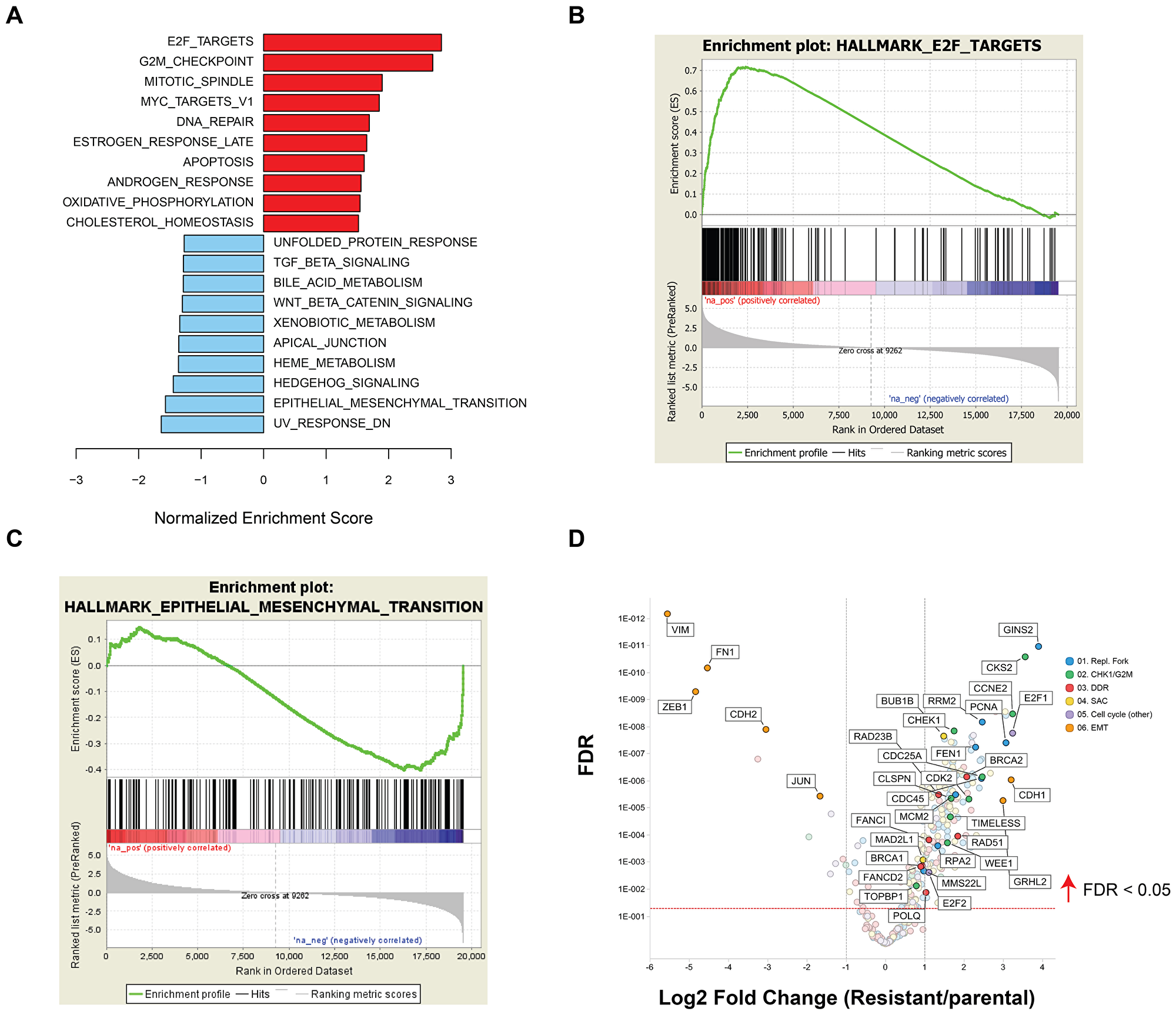 GSEA of differentially expressed genes between NCI-H520 and NCI-H520R cell lines