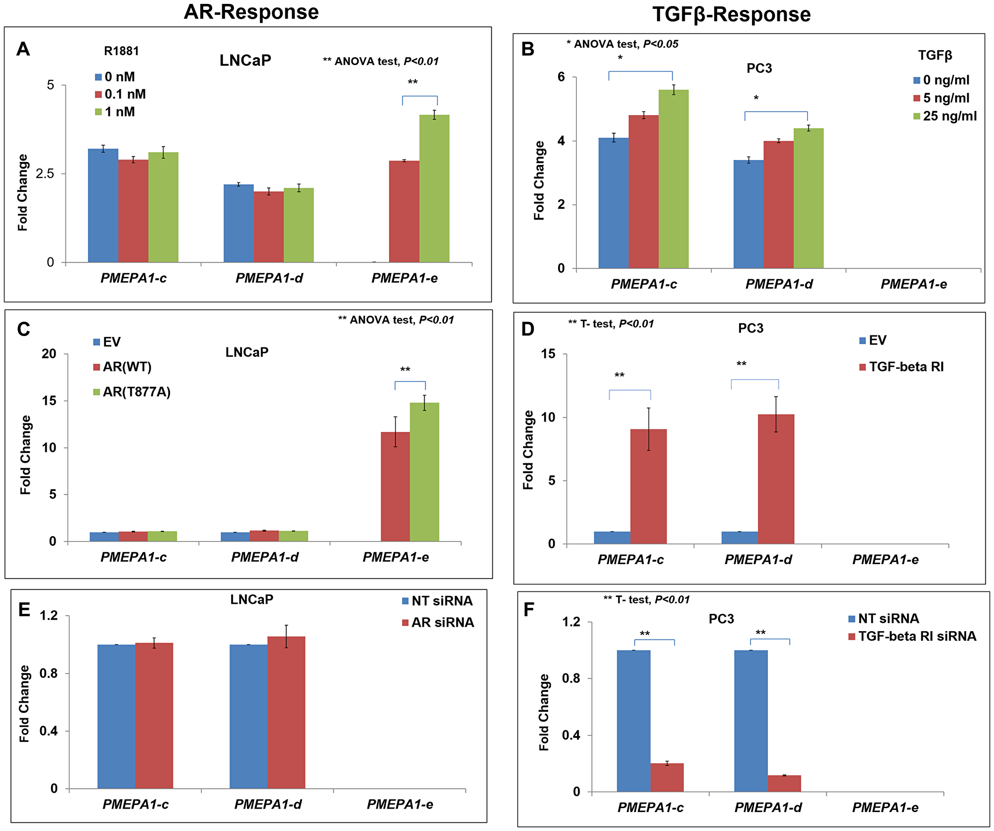The PMEPA1 isoforms (c, d and e) were categorized into two subgroups in prostate cancer cells: androgen responsive and TGF-β responsive