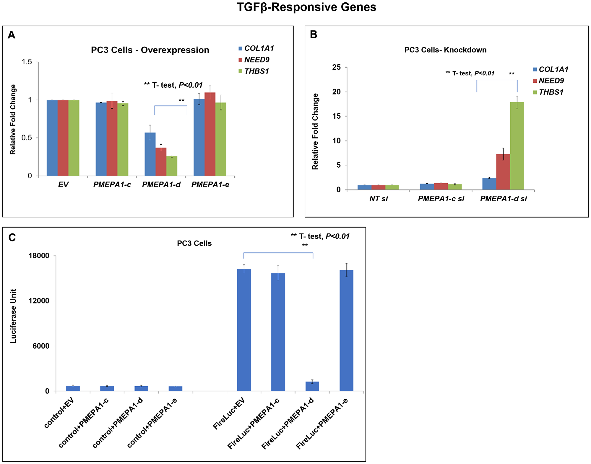 PMEPA1-d isoform inhibited TGF-β signaling in PC3 cells