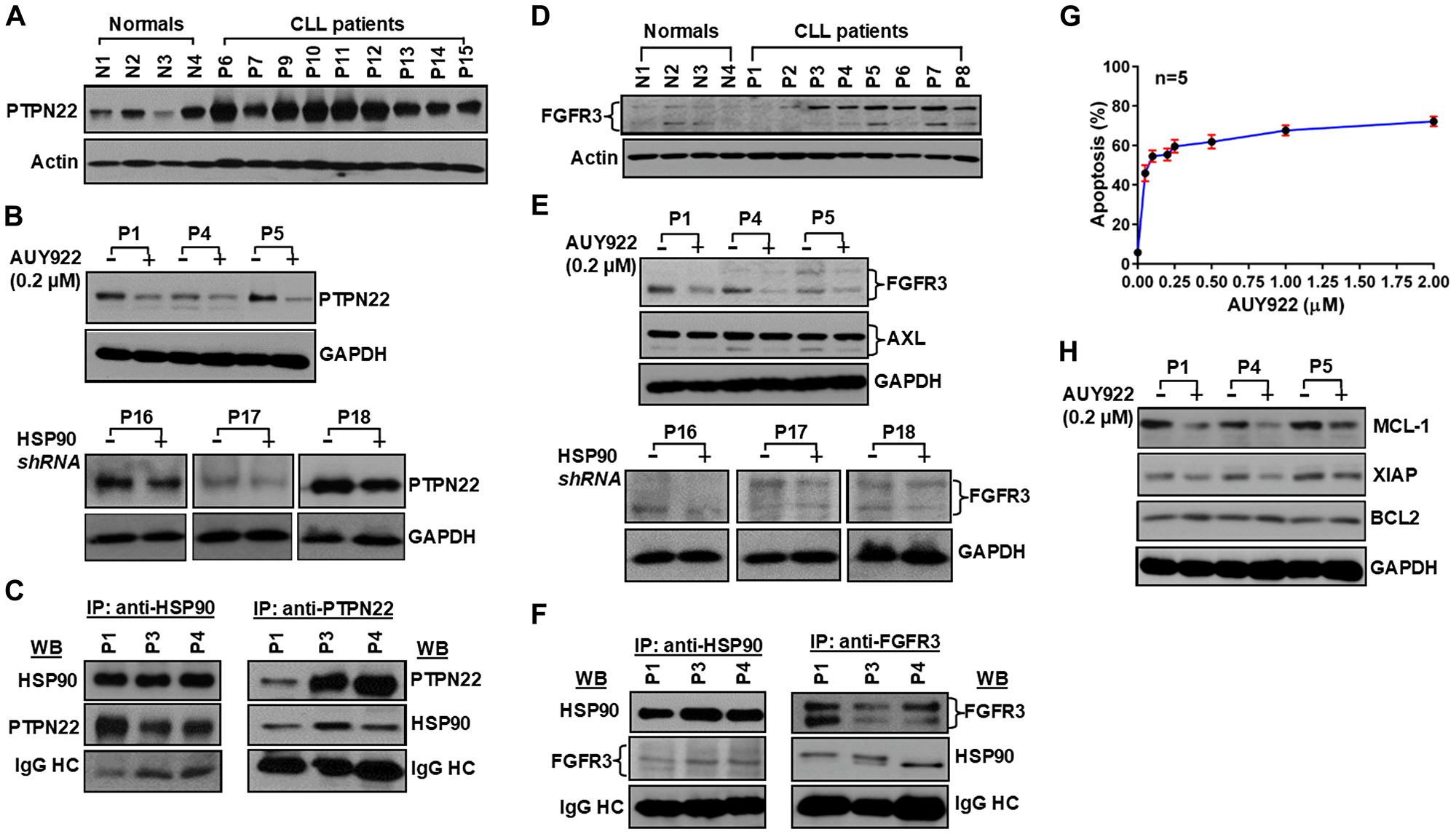Aberrantly expressed PTPN22 and FGFR3 are client proteins of HSP90, and pharmacologic inhibition of HSP90 induces apoptosis in CLL cells