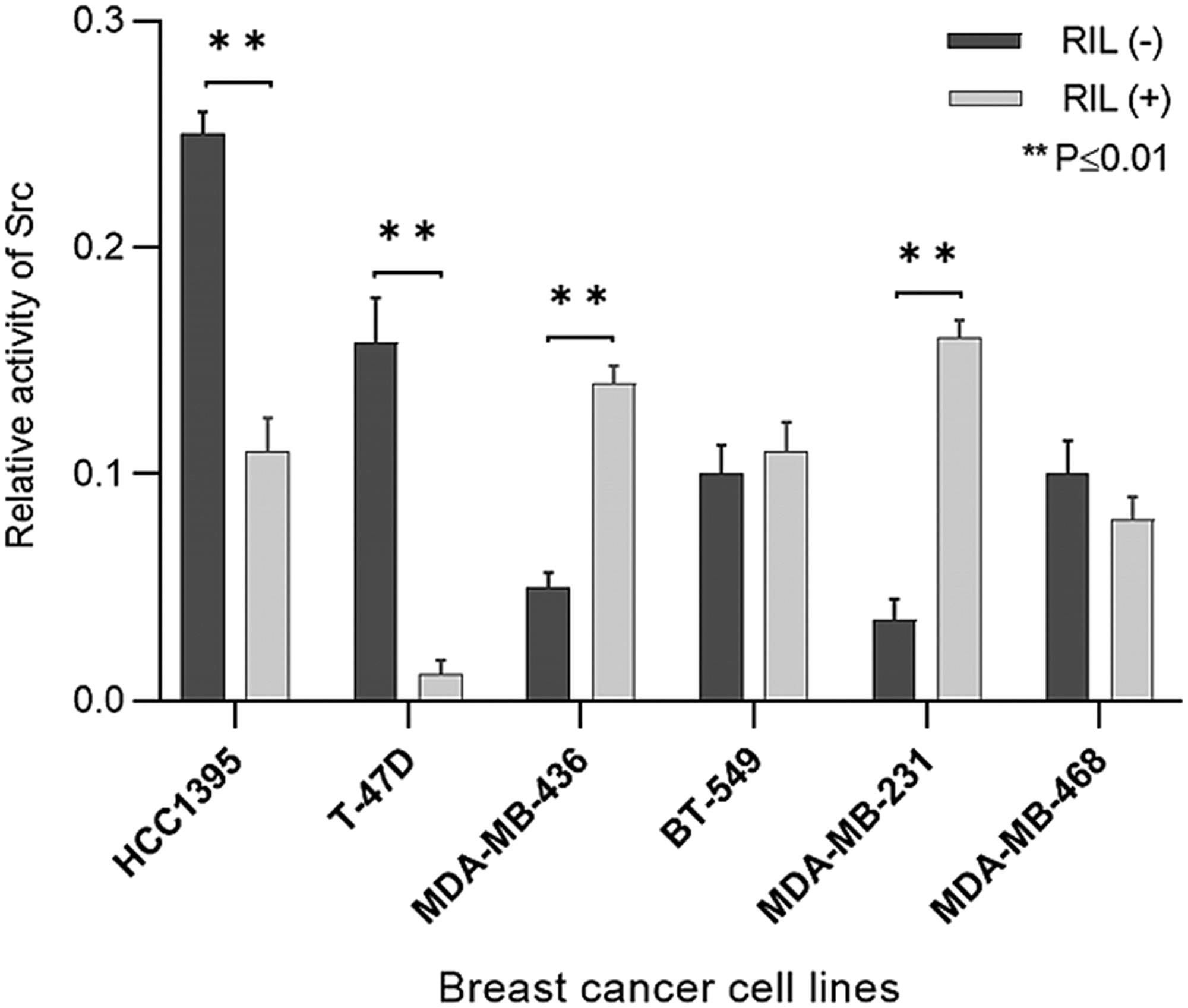 The effect of RIL expression switching on Src activity in breast cancer cell lines; columns reflect the proportion of active Src (Y419-phosphorylated) relative to pan Src; bars represent standard deviation of the mean