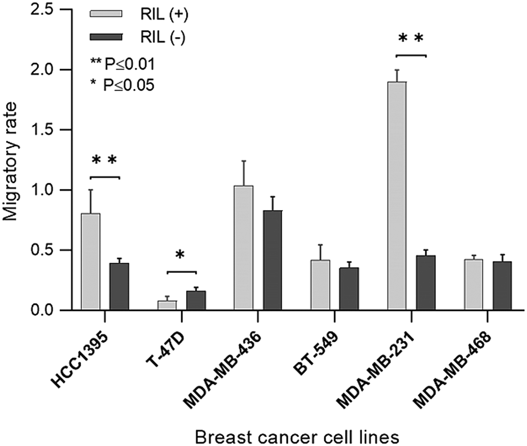 The migratory activity of the transgenic RIL (+) and RIL (-) cells throughout the panel of breast cancer cell lines