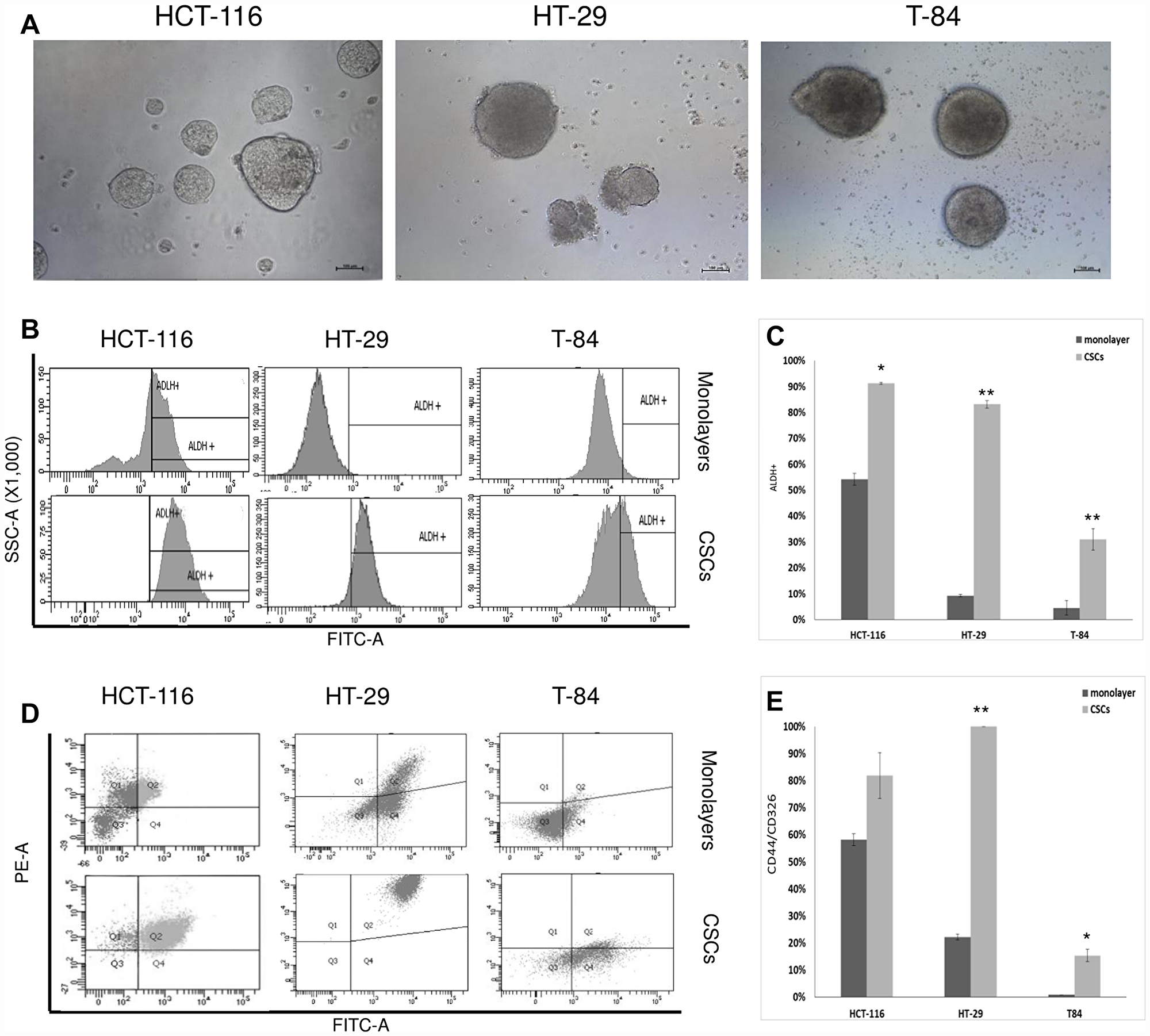 CSC enrichment of HCT-116, HT-29 ad T-84 cells and flow cytometric analyses of ALDH1 and CD44/CD326