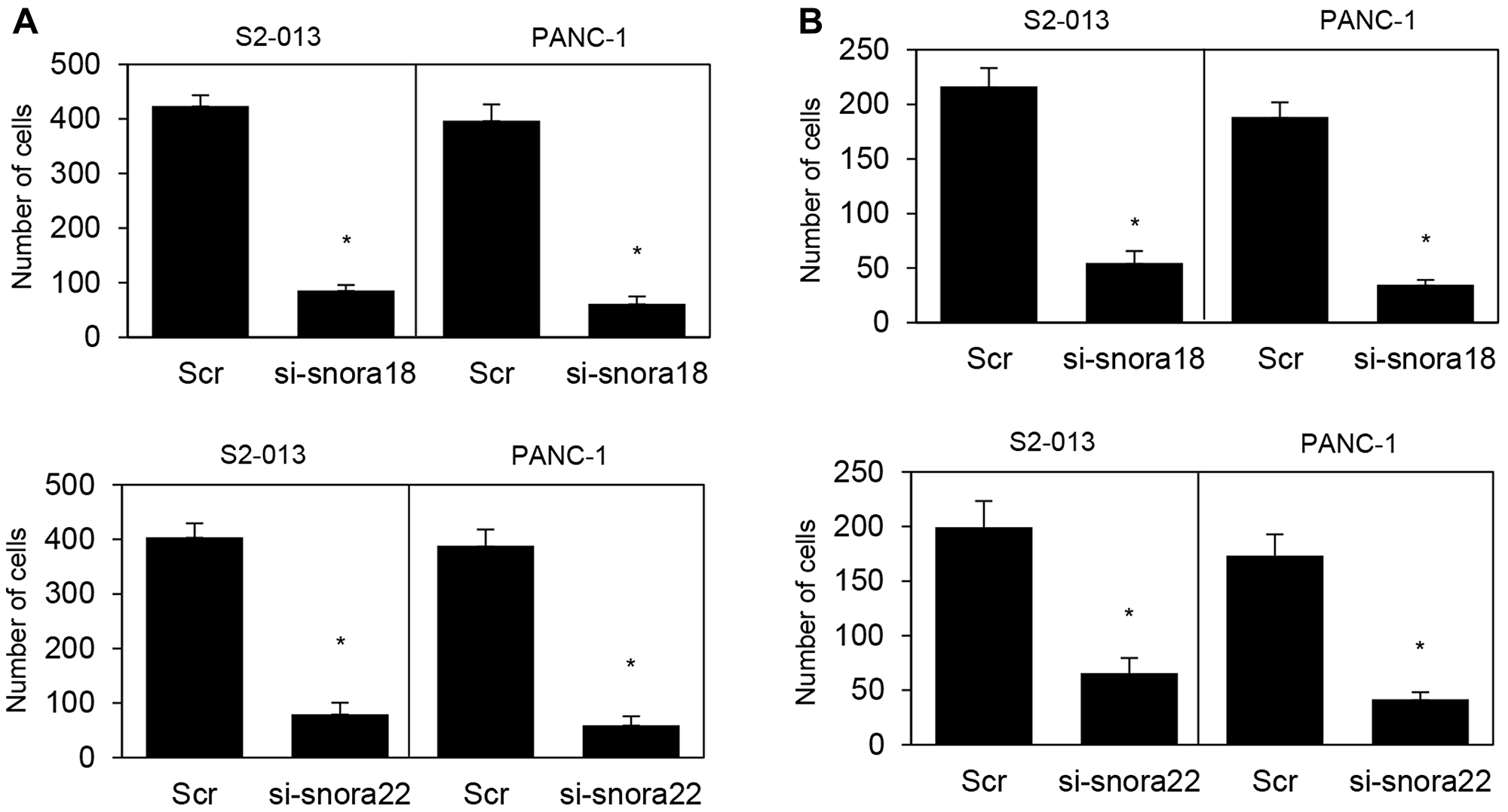 Roles of KHSRP-bound snoRNAs in cell motility and invasion