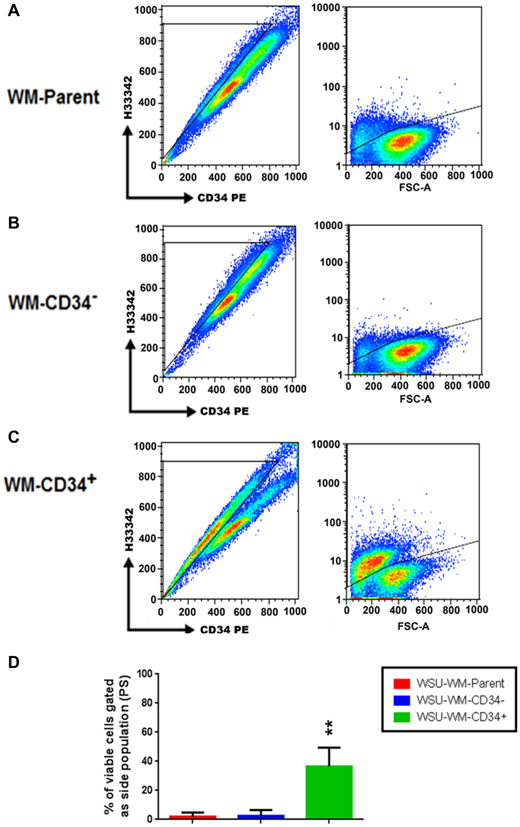 Detection of a side population (SP) in WSU-WM