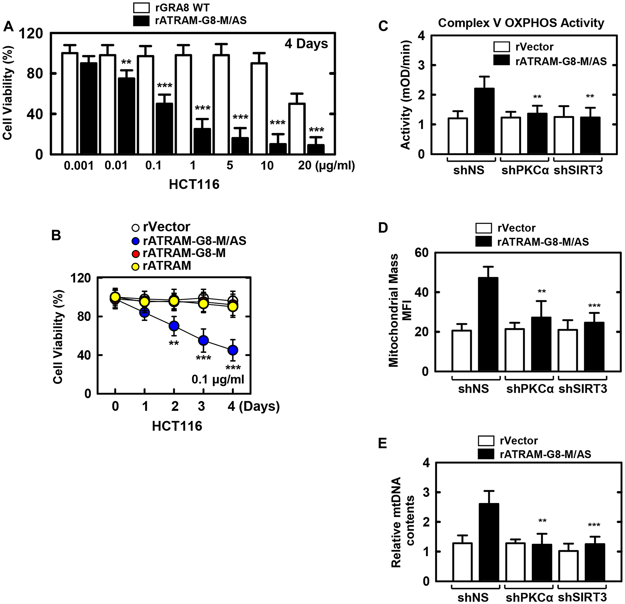 The rATRAM-GRA8-M/AS-induced the HCT116 cell death by mitochondria activation