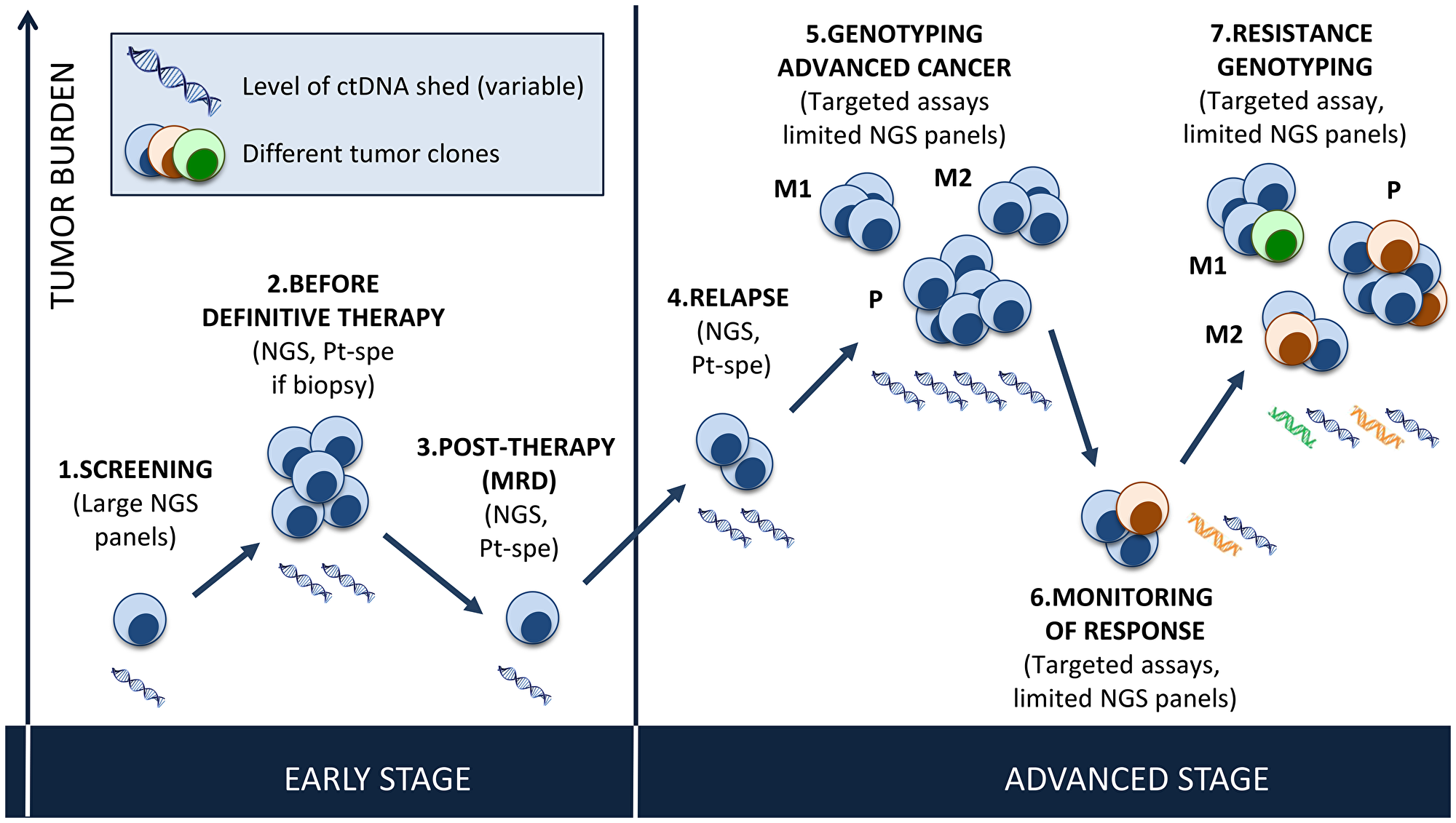 Potential use of plasma genotyping in cancer