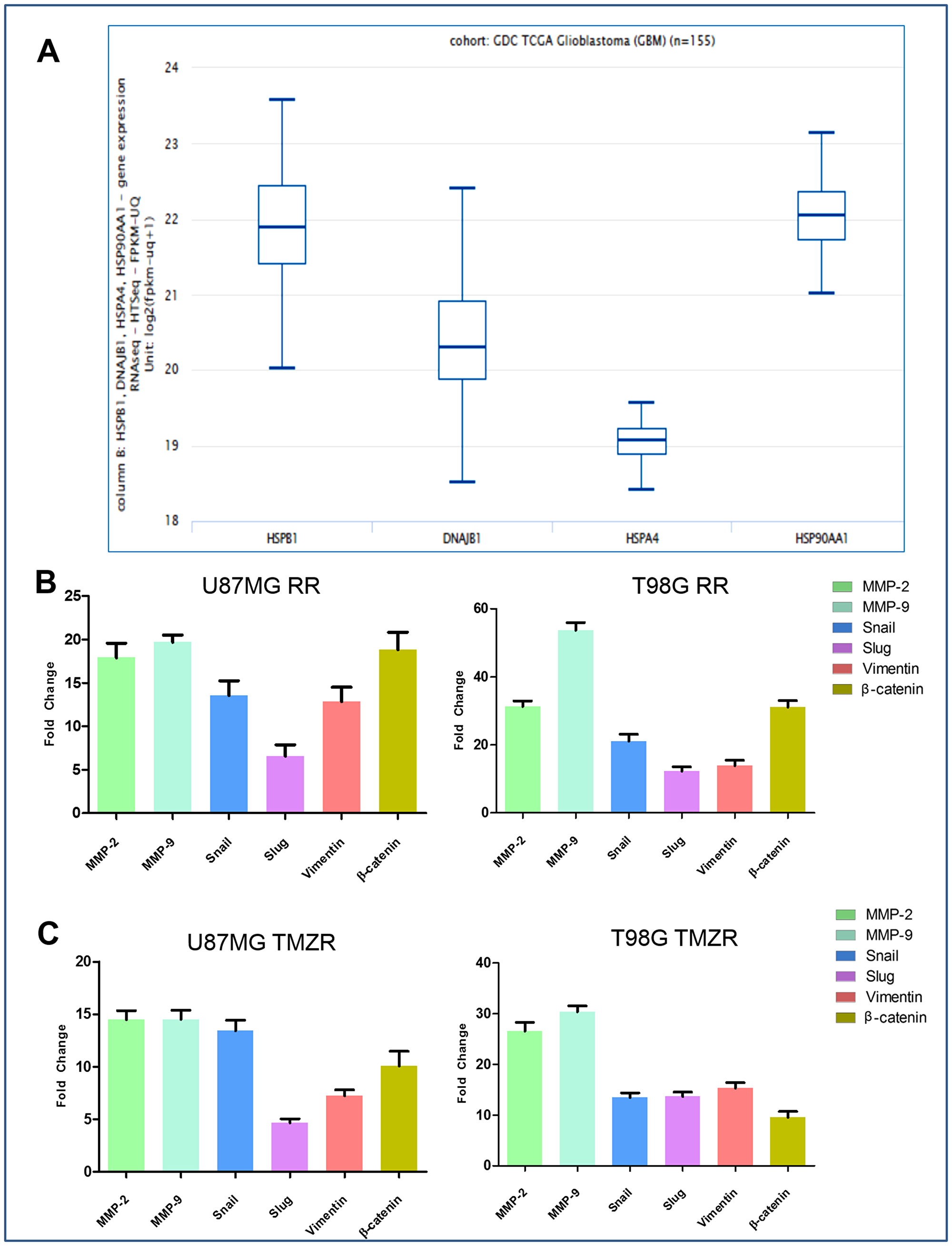 Figure 1: Comparative expression pattern of different HSPs and determination of radiation resistance and TMZ resistance (radio/TMZR) in GBM.