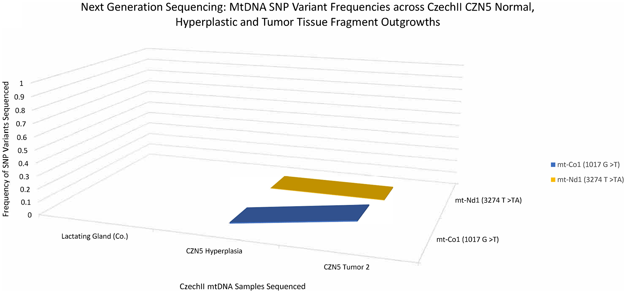 CzechII mammary CZN5 tumor 2 mtDNA SNP variant calling via Next Generation sequencing