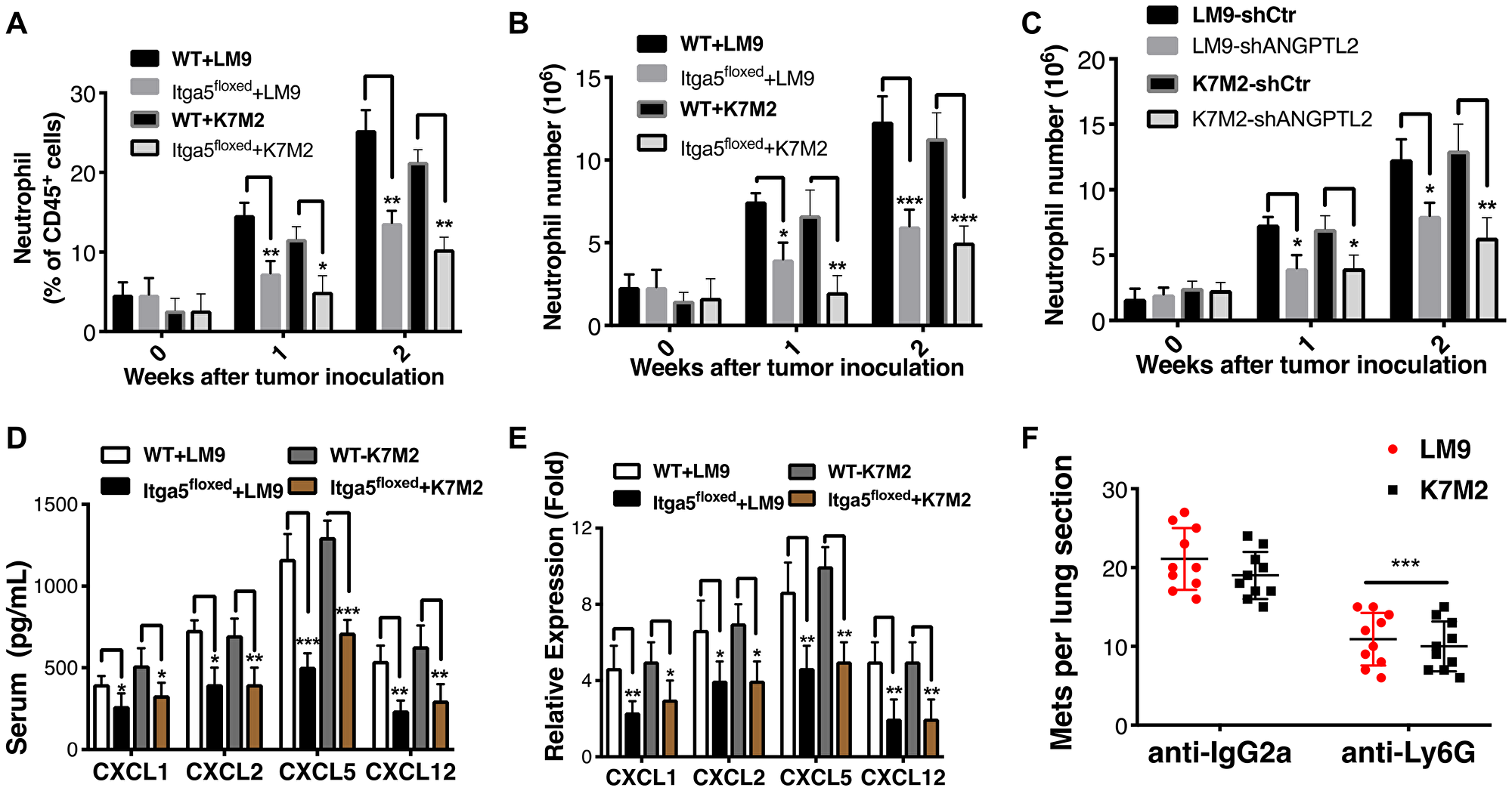 Integrin α5β1 deficiency reduces neutrophil recruitment to the lung
