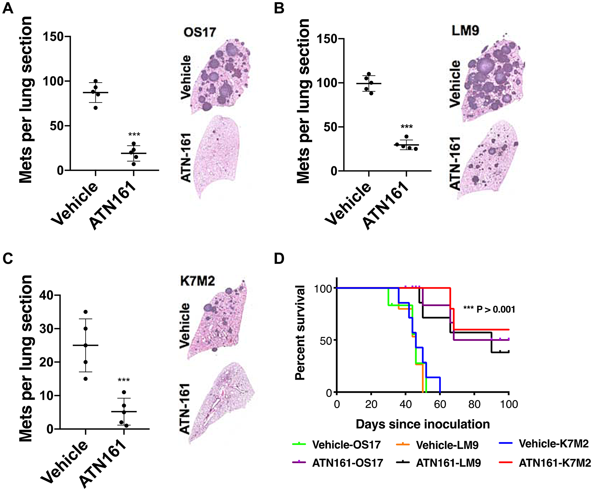 ATN-161 treatment significantly lower metastatic burden and increased overall survival