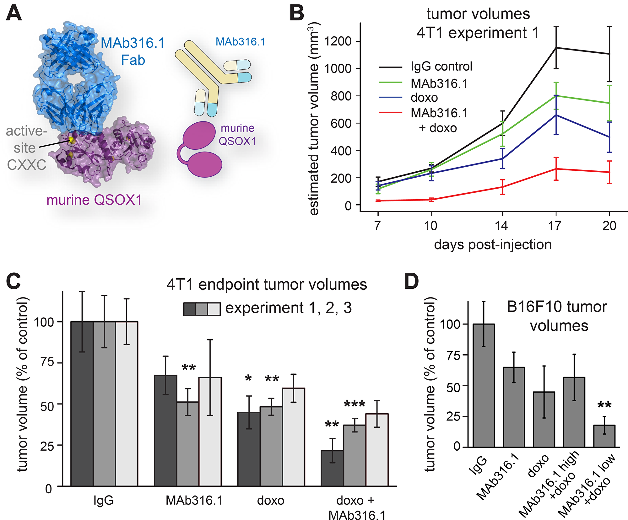 Syngeneic mammary tumor and melanoma models treated with QSOX1 inhibitory monoclonal antibody and chemotherapy
