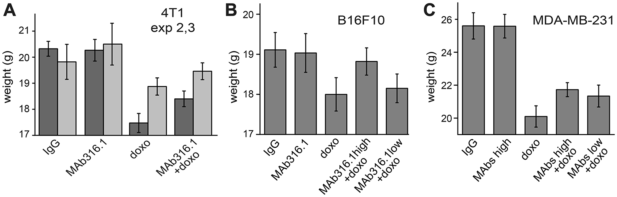 Body weights of mice following treatments with QSOX1 inhibitory antibodies and chemotherapy